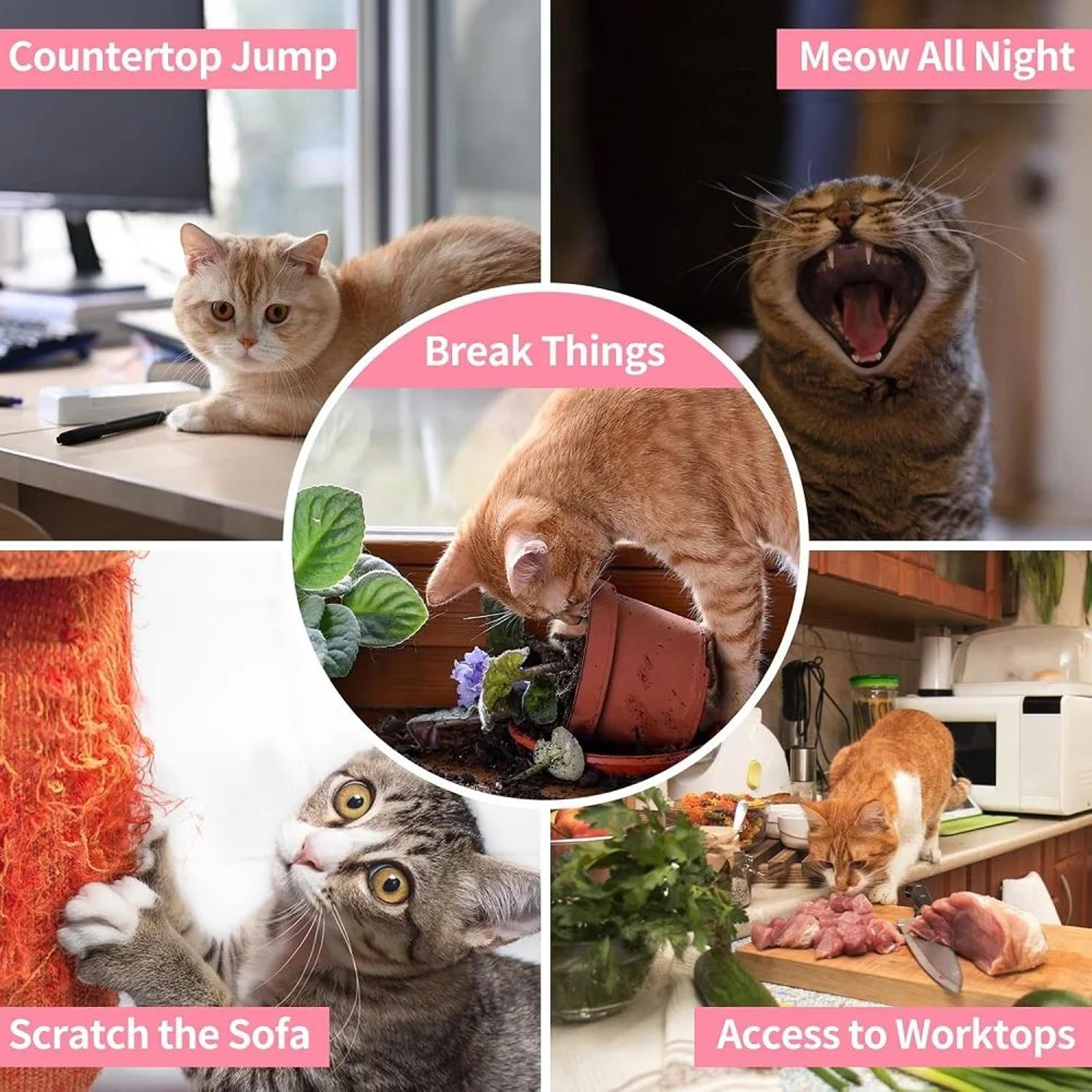 Remote Control Cat Training Collar Anti Meow Device 13