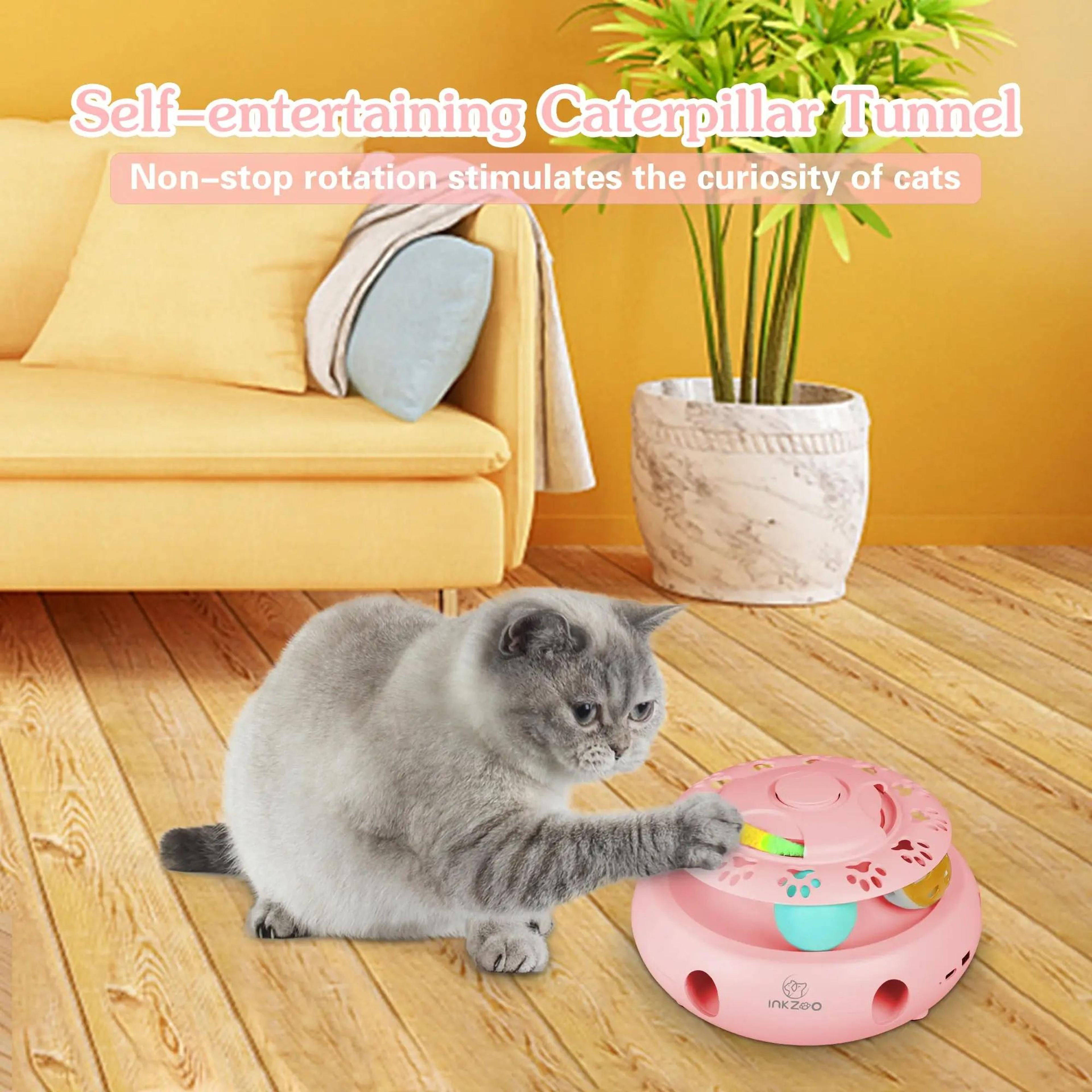 4 In 1 Interactive Cat Toy Set 5