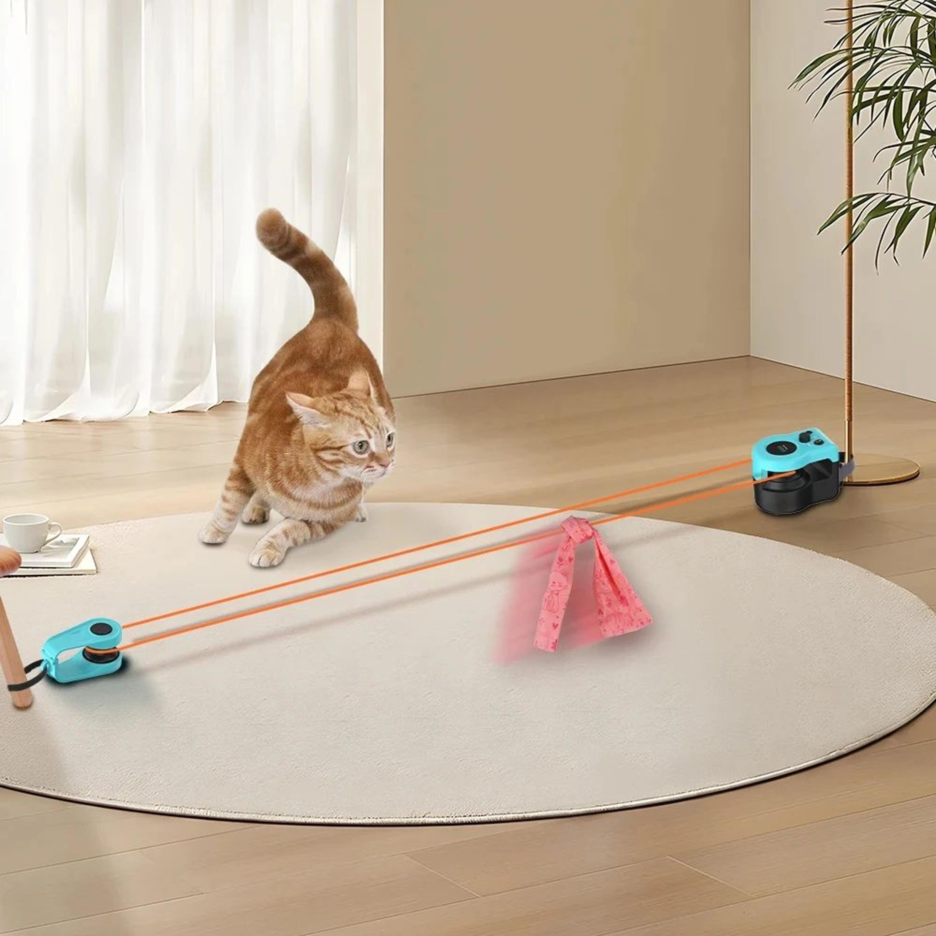 Smart Interactive Cat Exercise Wheel 13