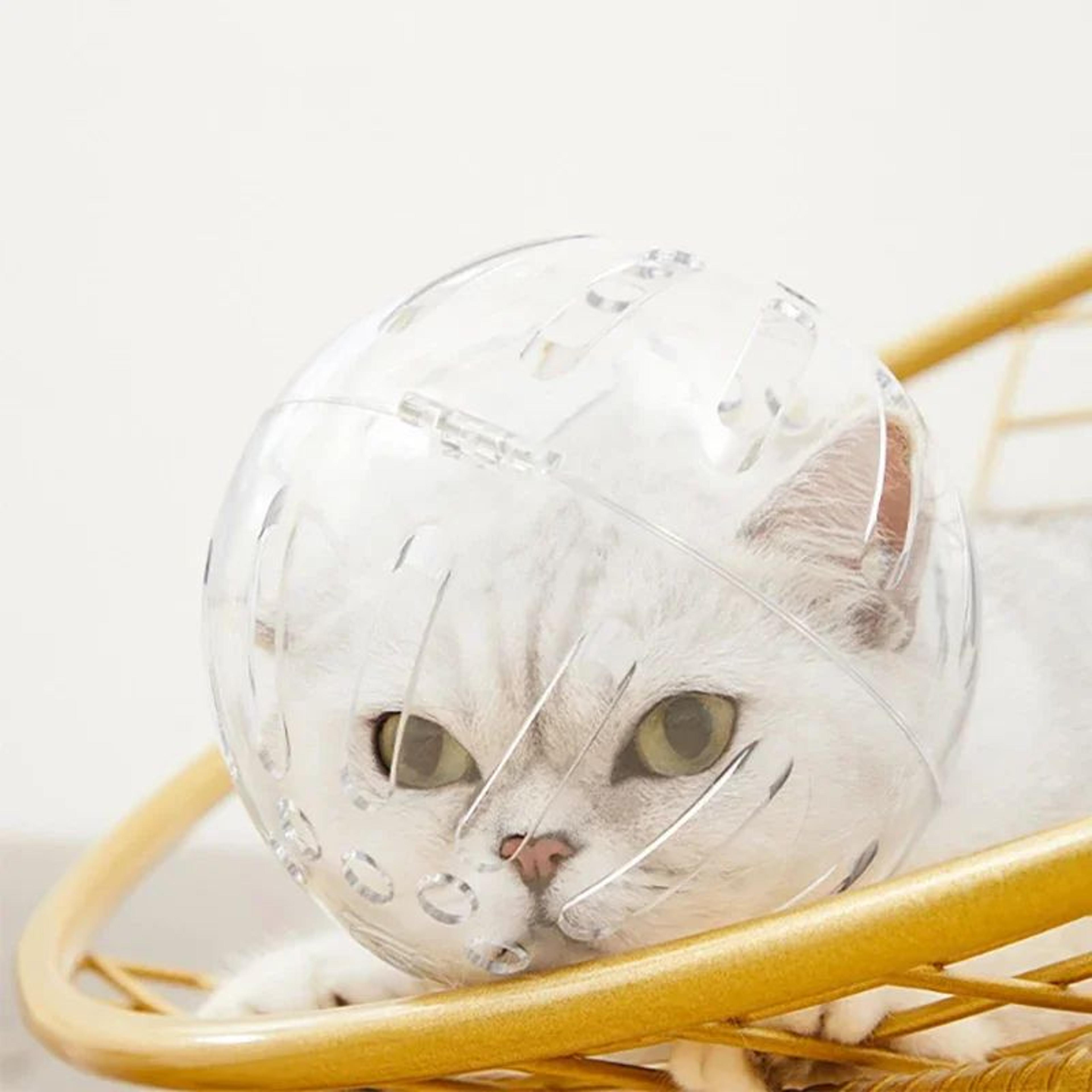 Breathable Cat Grooming Protection Helmet 6