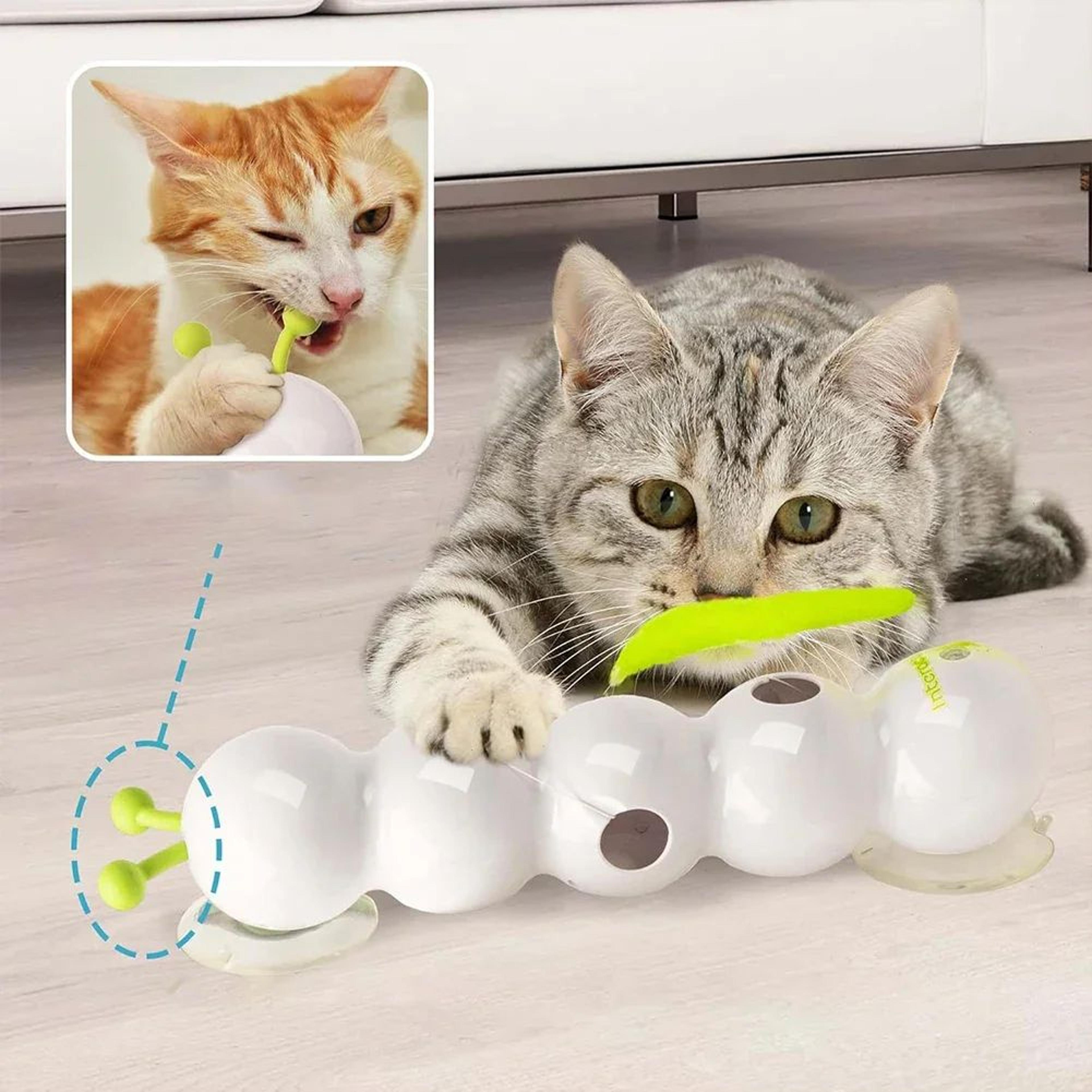 Interactive Motion Activated Cat Worm Toy 1