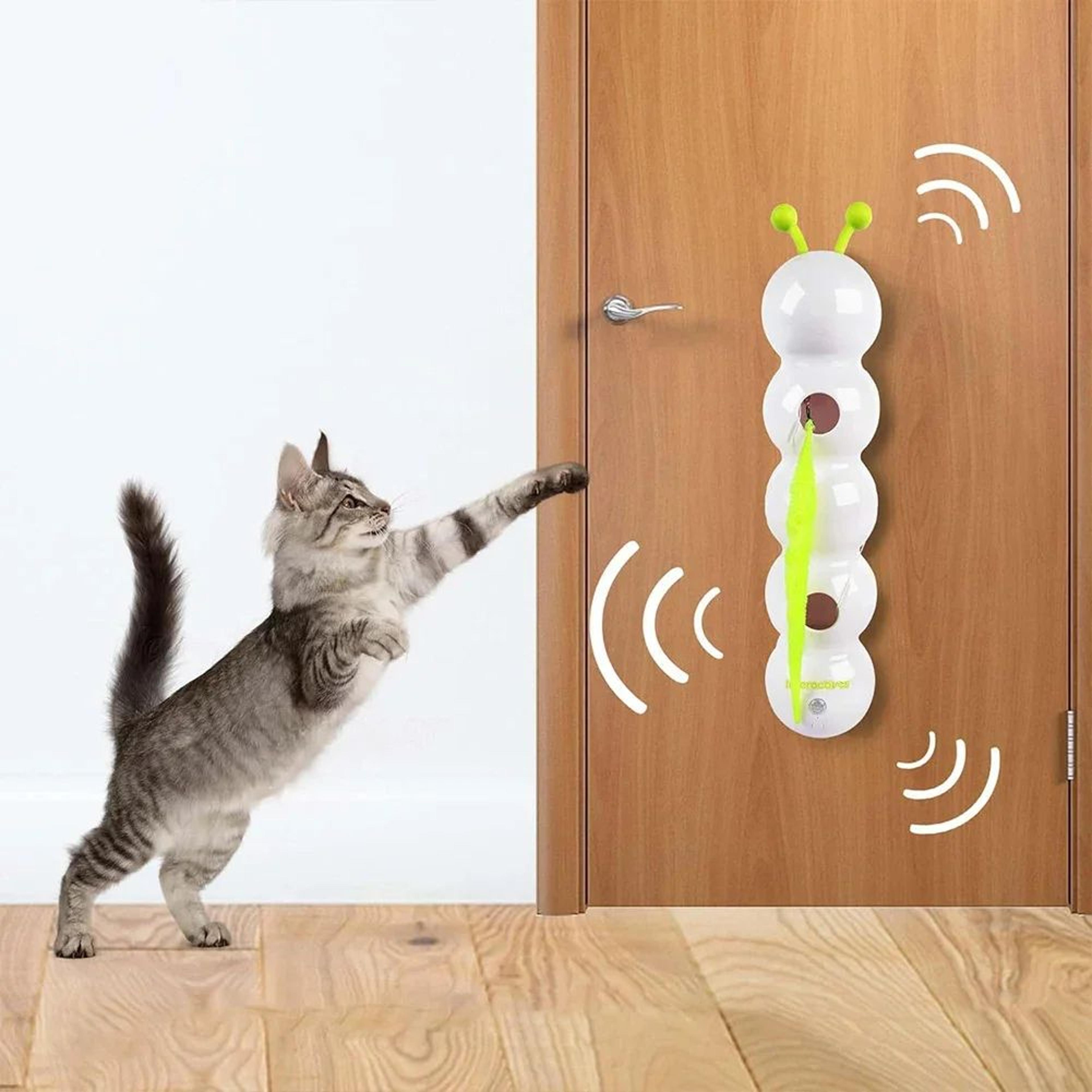 Interactive Motion Activated Cat Worm Toy 5