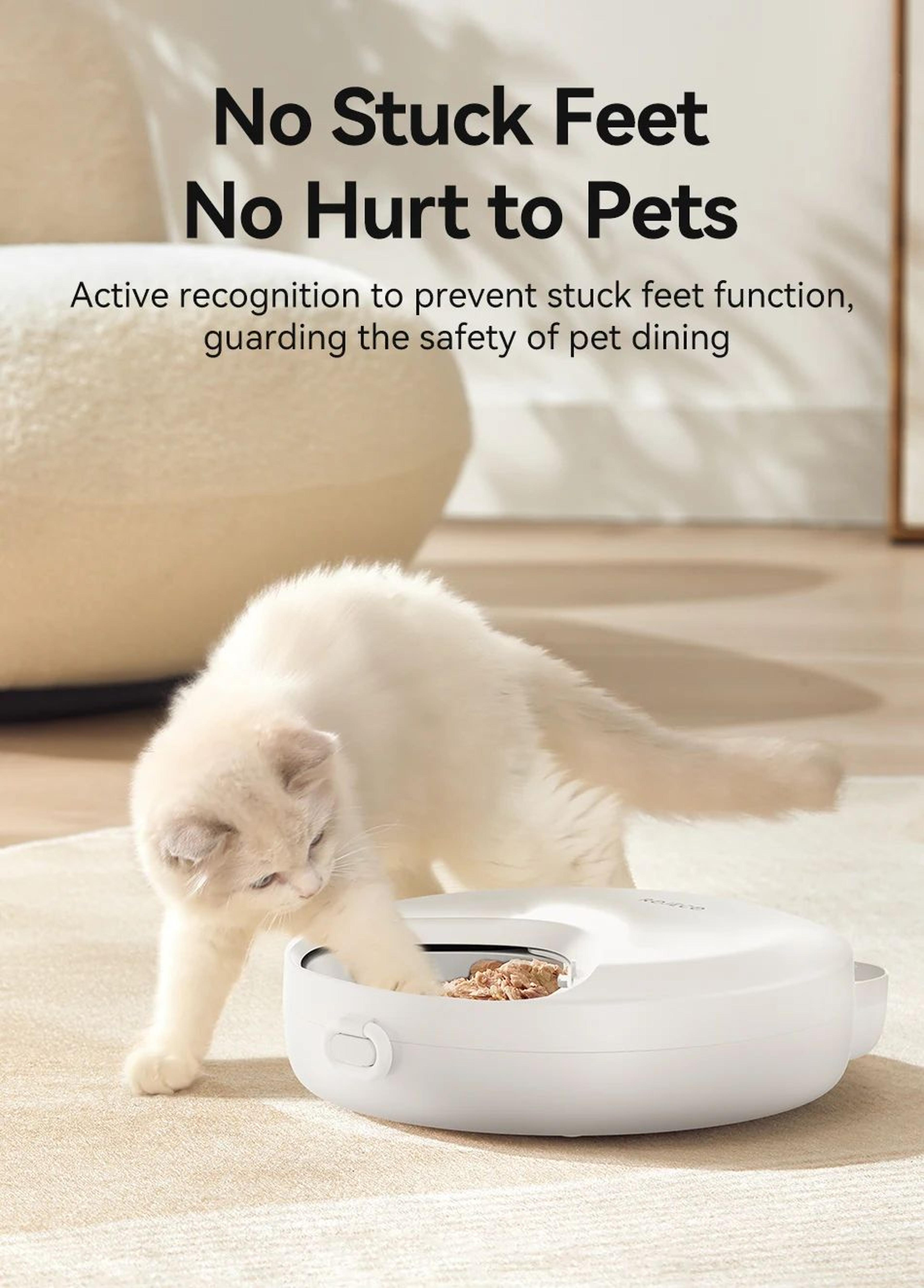ROJECO Wireless 4 Meal Automatic Pet Feeder 11