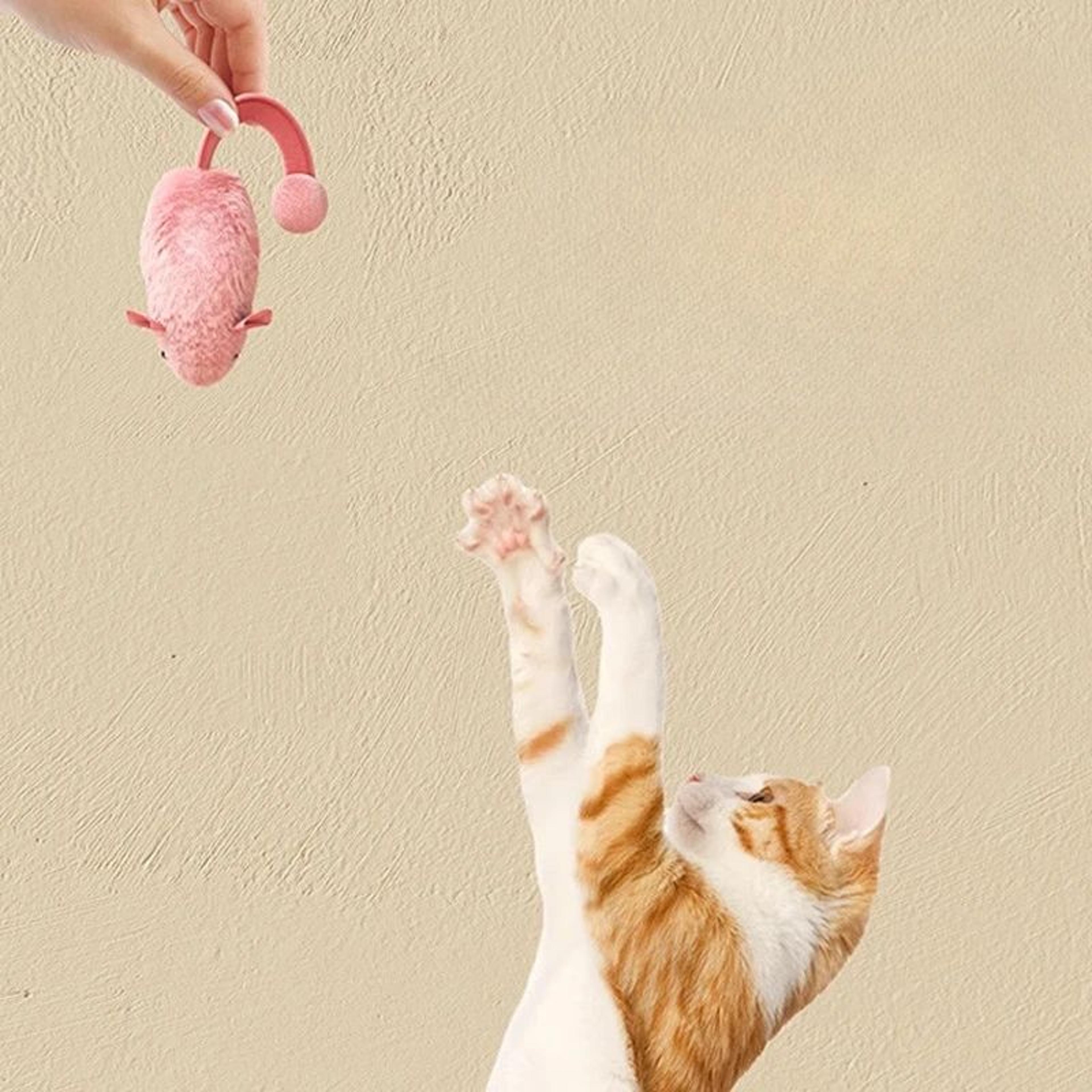 Interactive Plush Mouse Cat Chew Toy Set 5