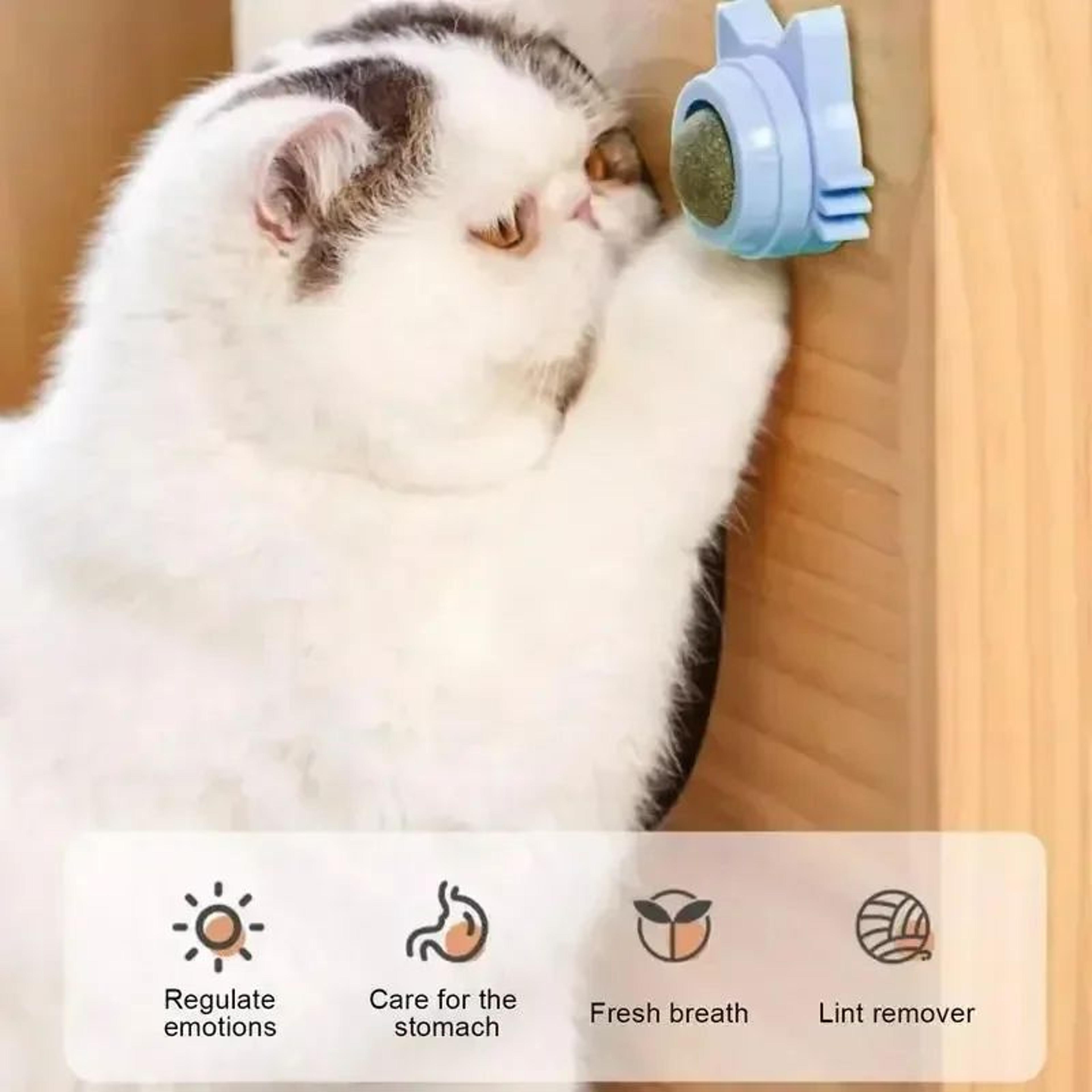 Natural Rotatable Catnip Wall Ball Toy For Cats 2