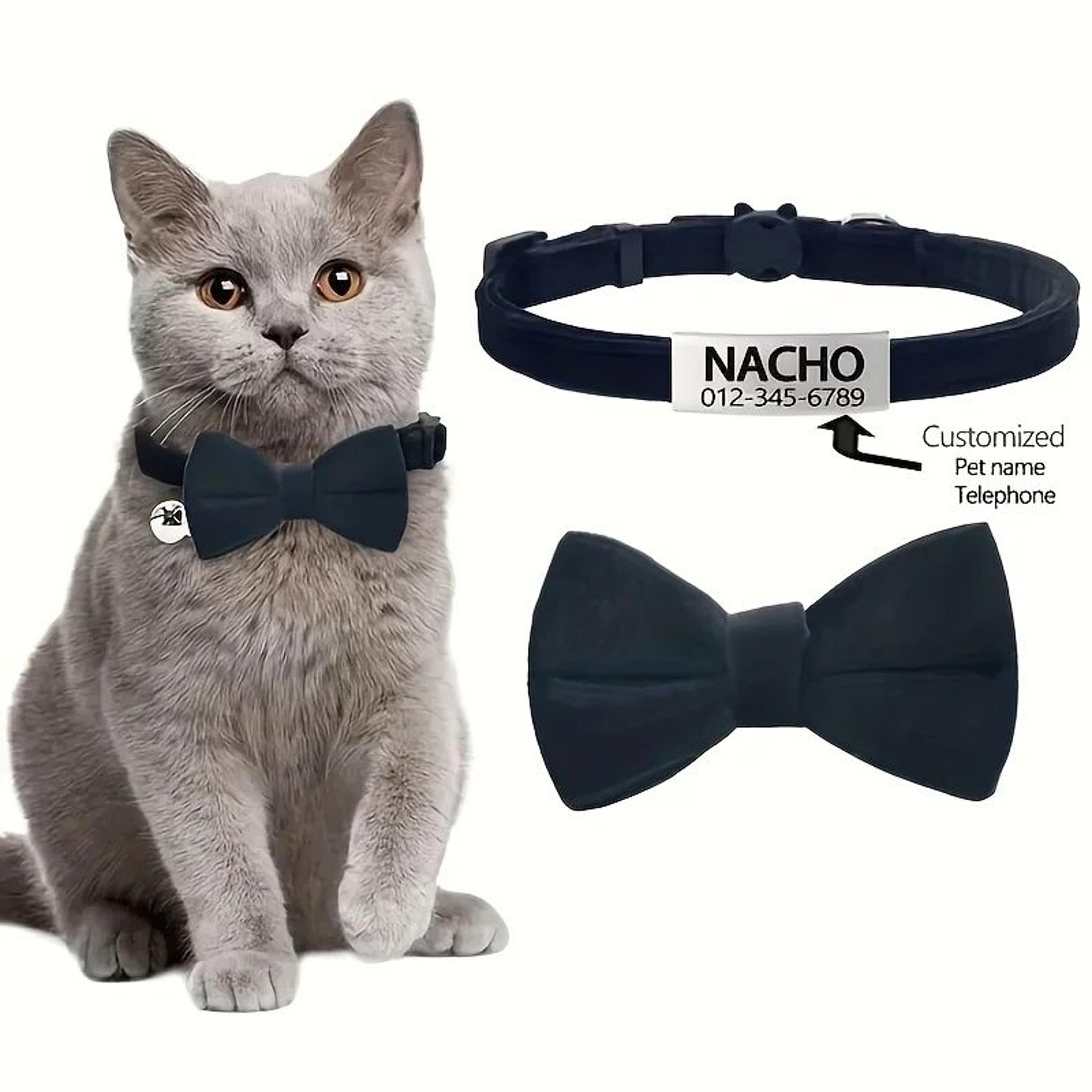 Custom Engraved Cat Bow Tie Collar 7