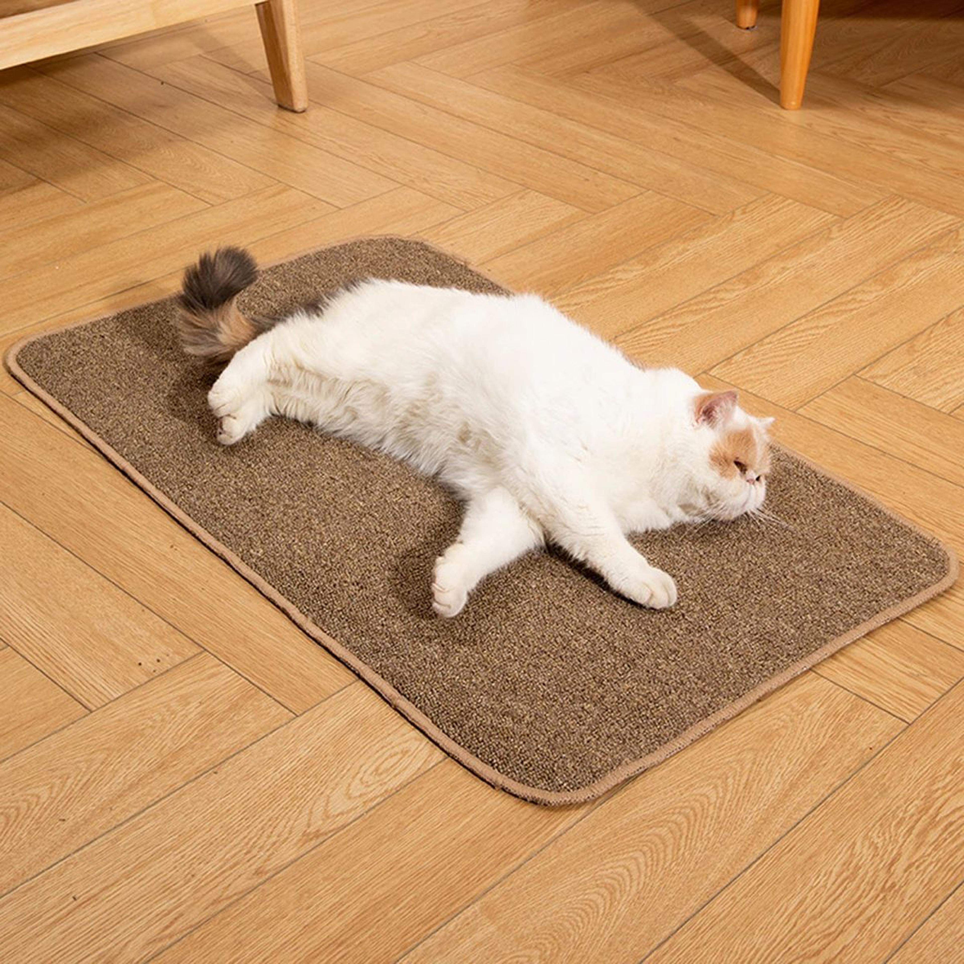 Large Non Slip Cat Scratching Mat 3