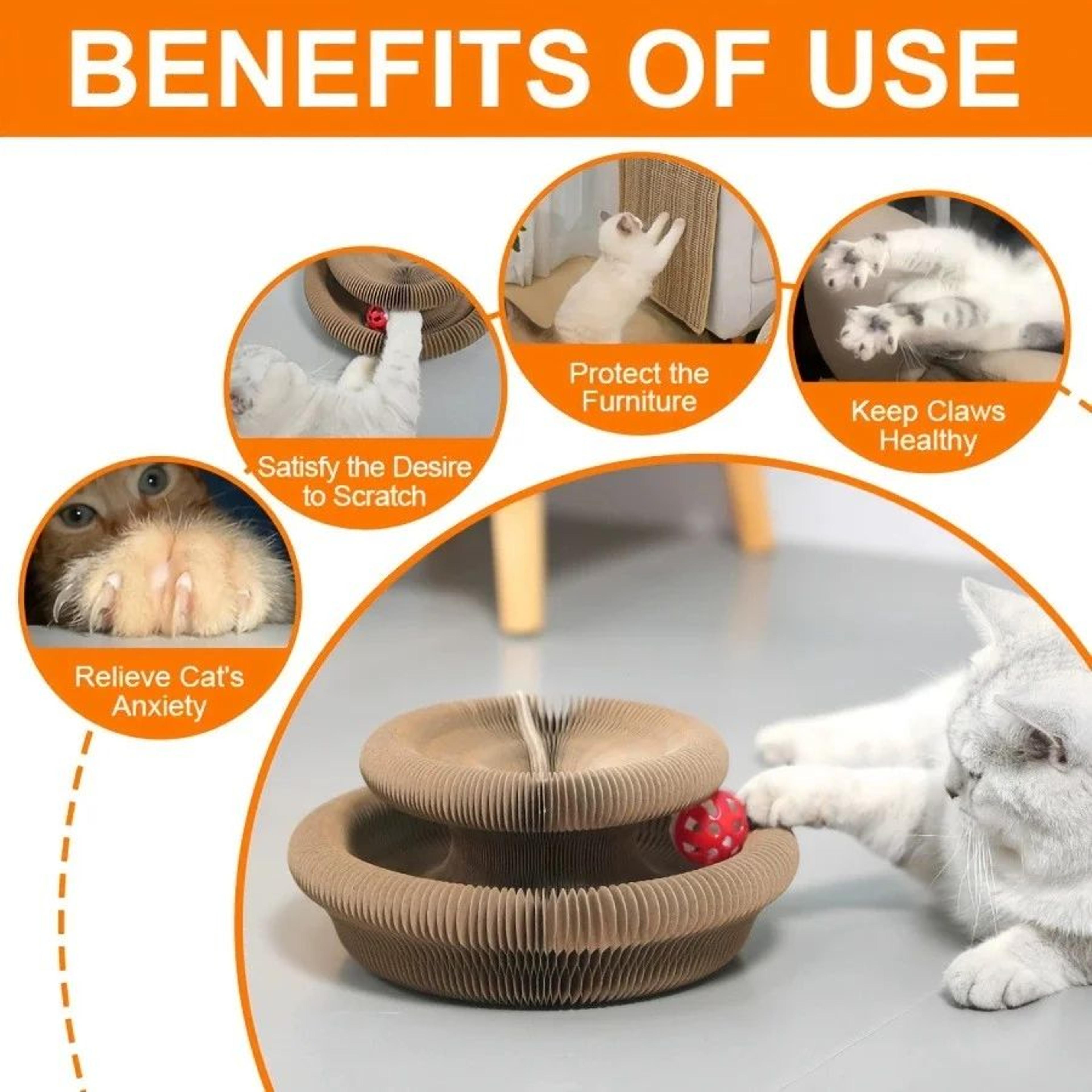 Accordion Cat Scratching Board Toy 6