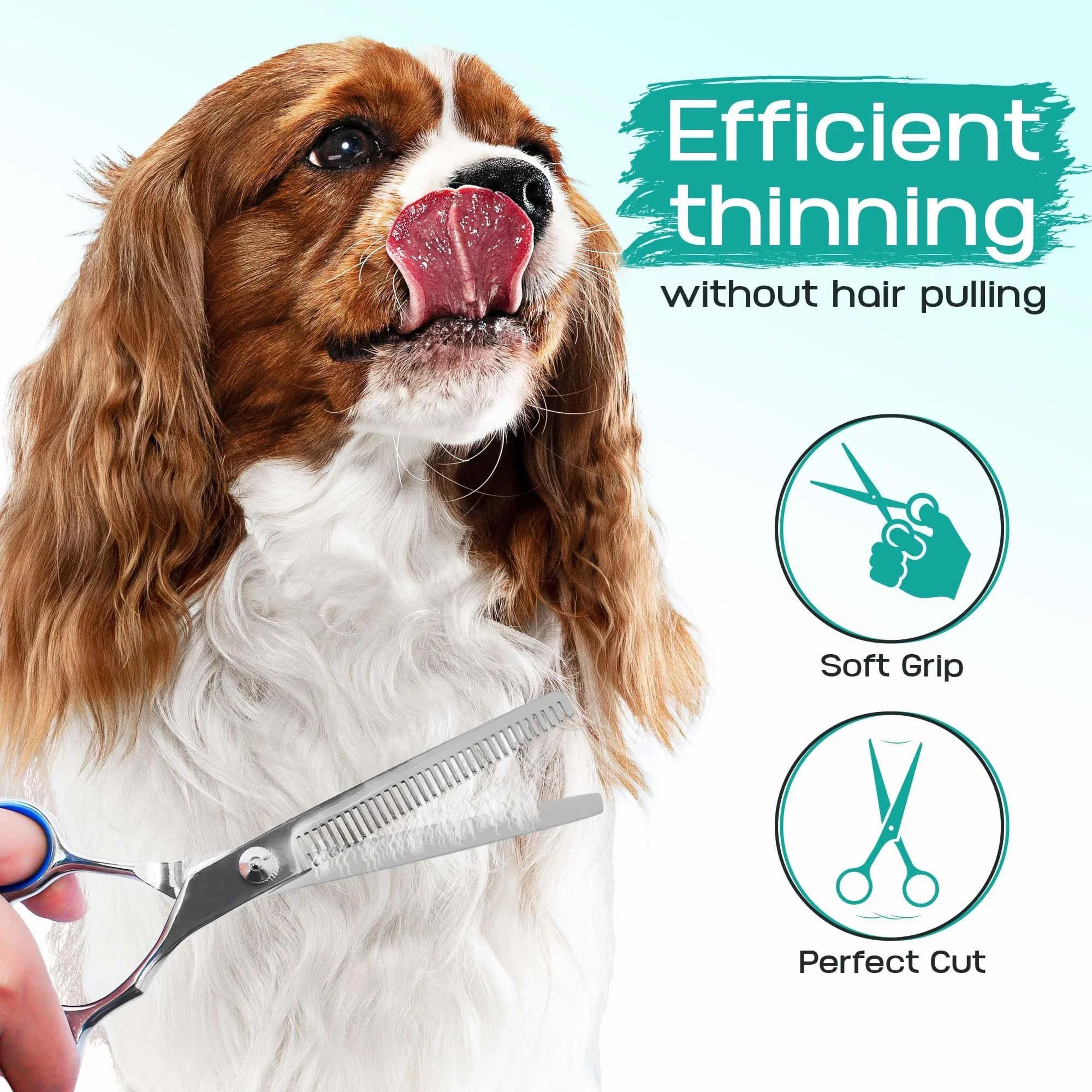 Professional Pet Grooming Scissors Set 2
