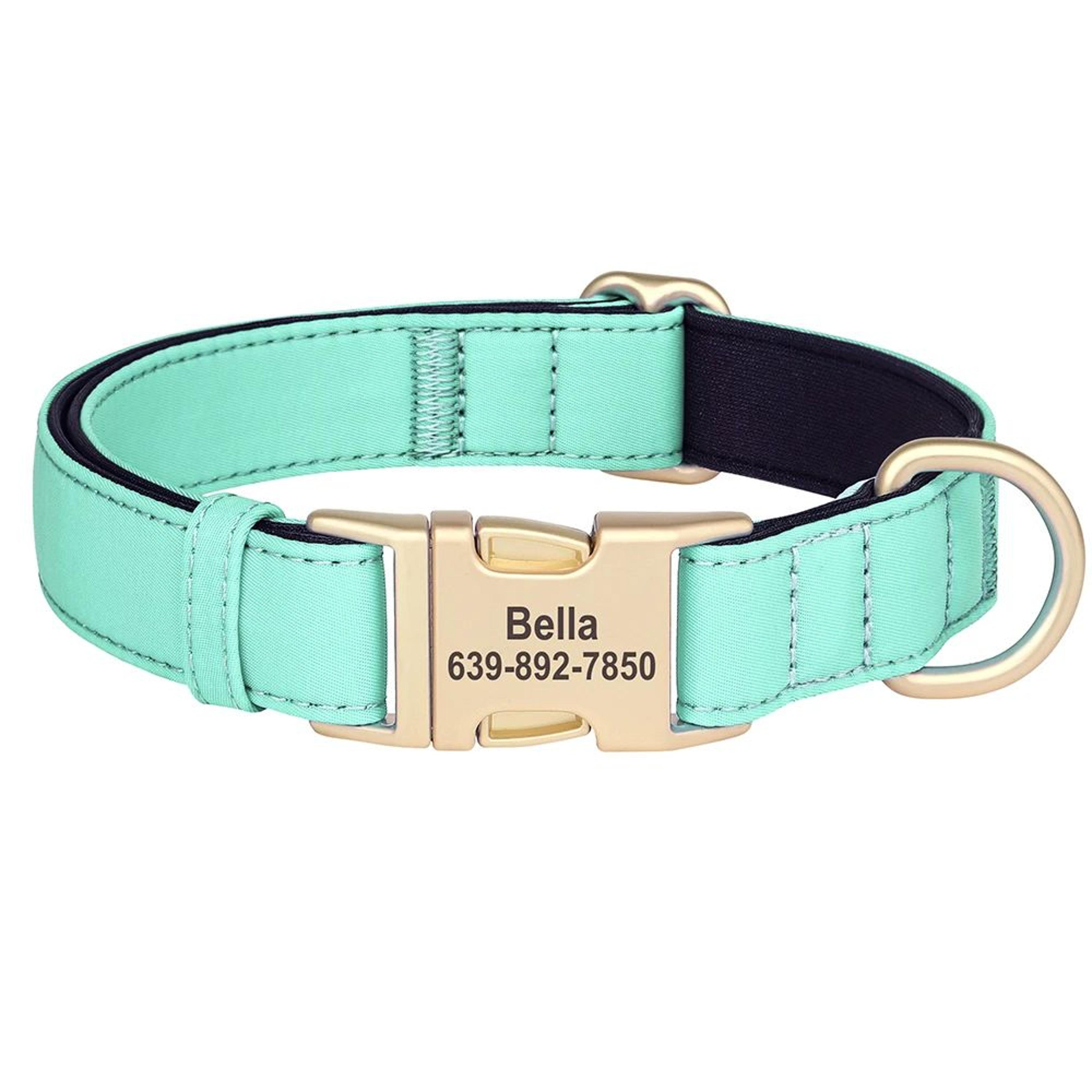 Personalized Waterproof Nylon Dog Collar With Free Engraving 5