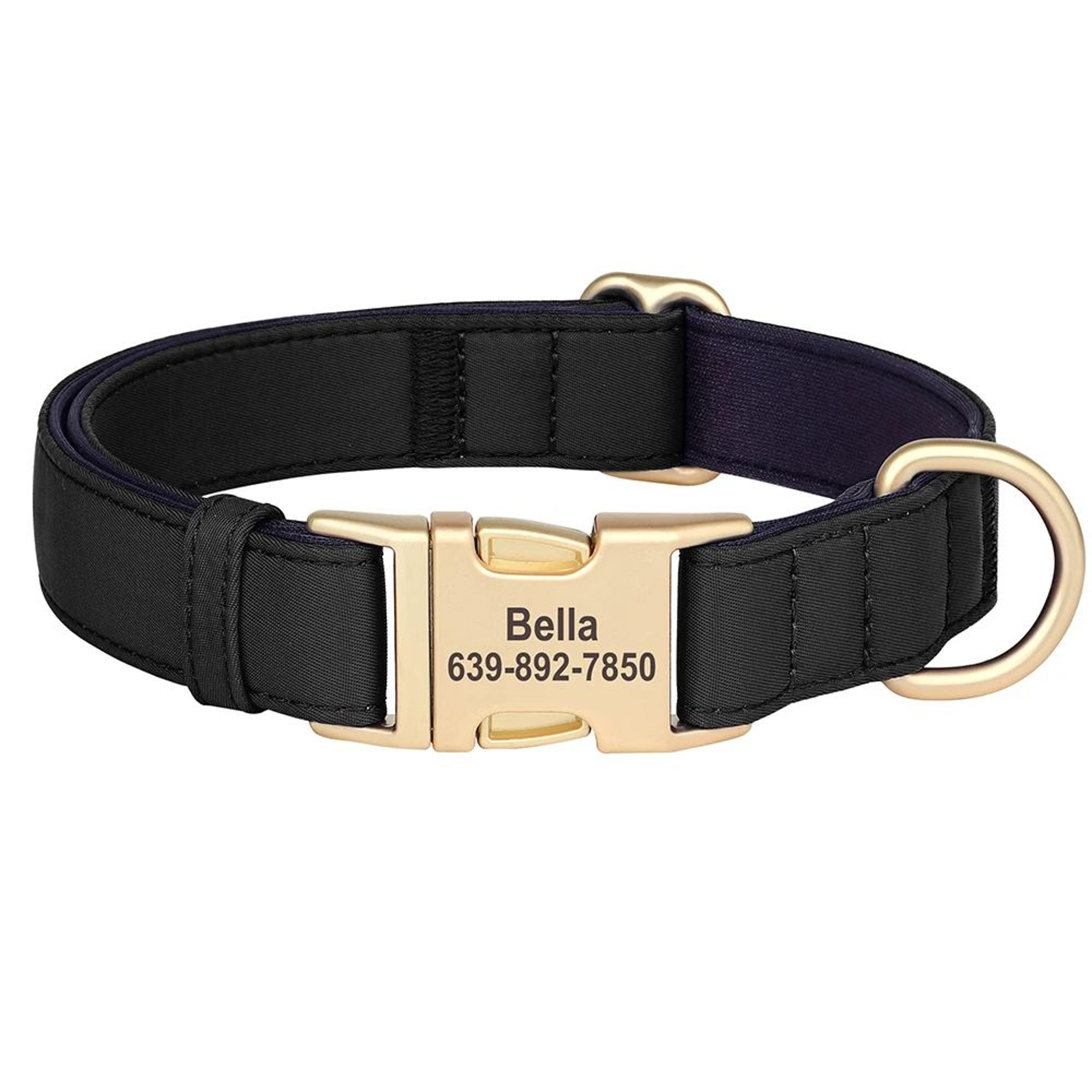 Personalized Waterproof Nylon Dog Collar With Free Engraving 10