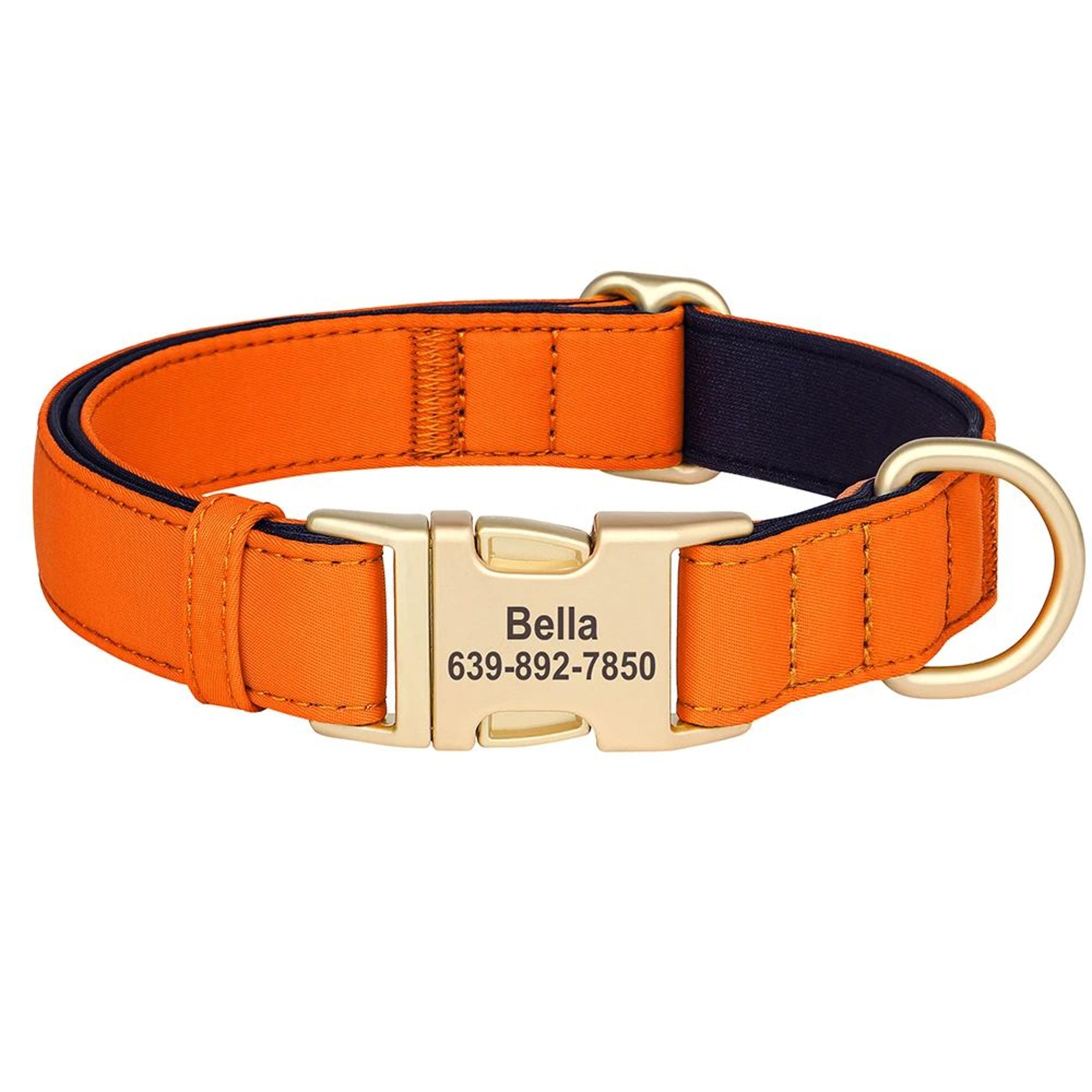Personalized Waterproof Nylon Dog Collar With Free Engraving 12