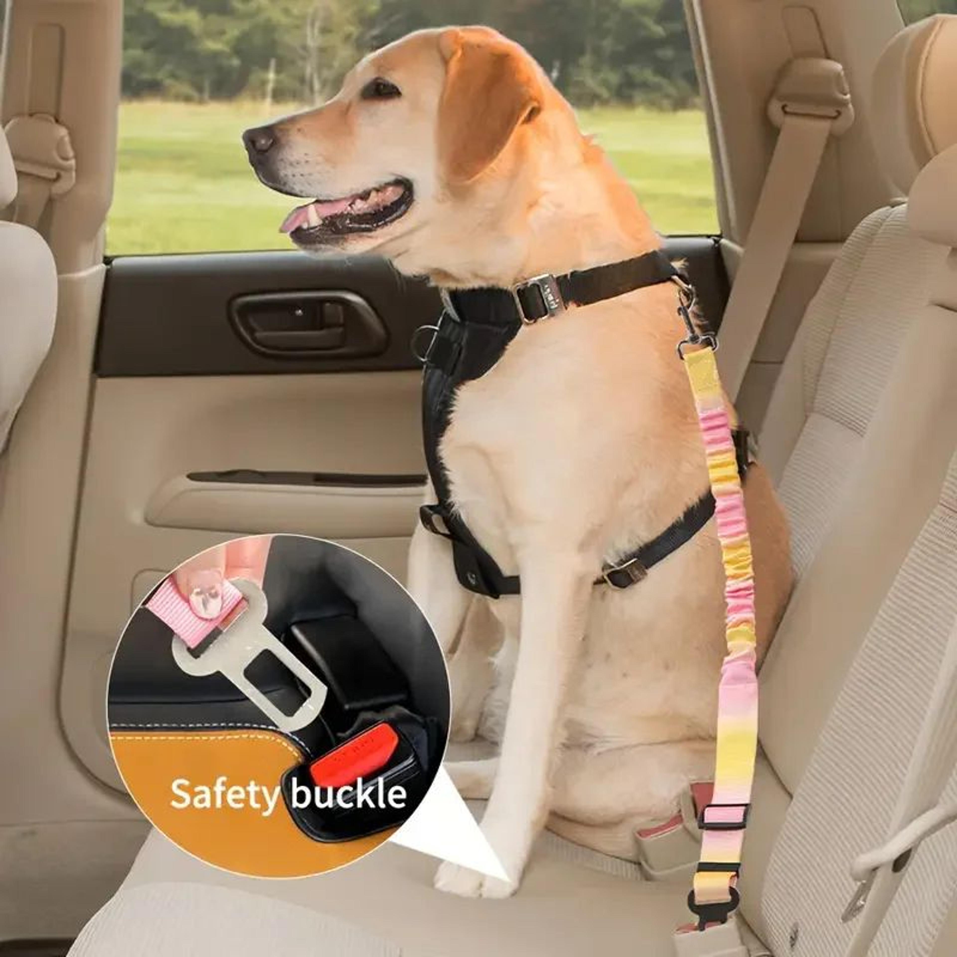 Adjustable Gradient Pet Car Safety Leash 3