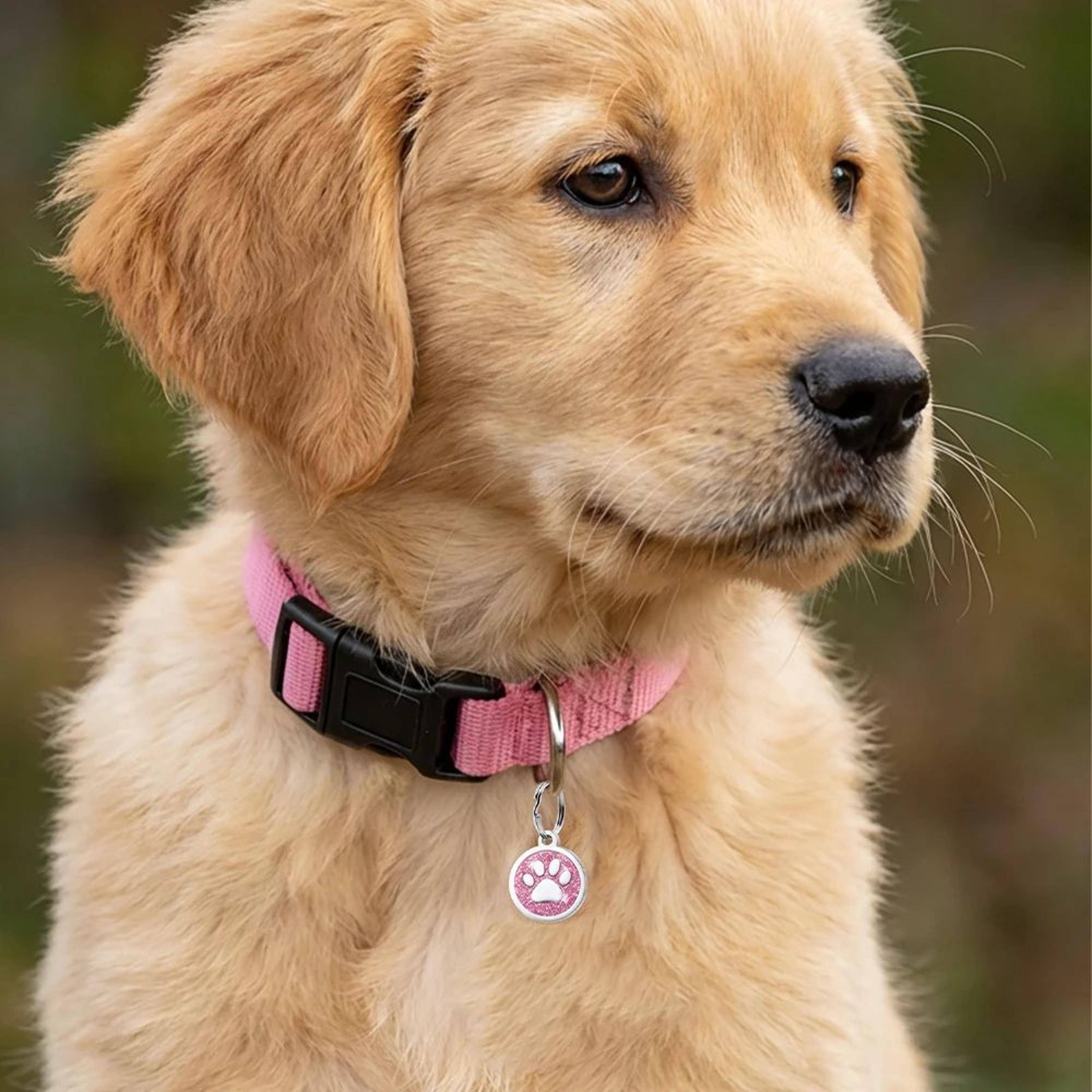 Personalized Glitter Paw Pet ID Tag 4