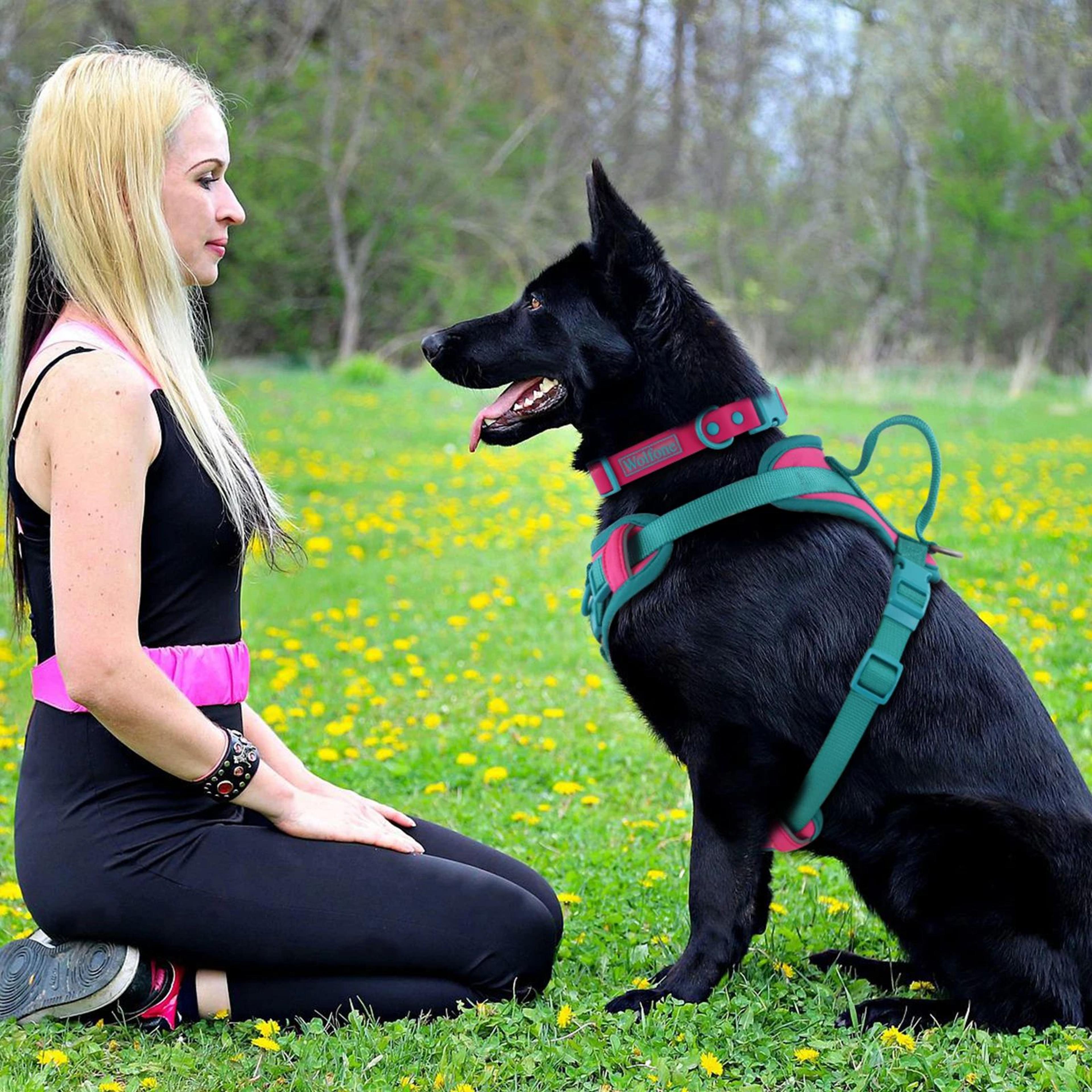 Breathable No Pull Adjustable Dog Harness 4
