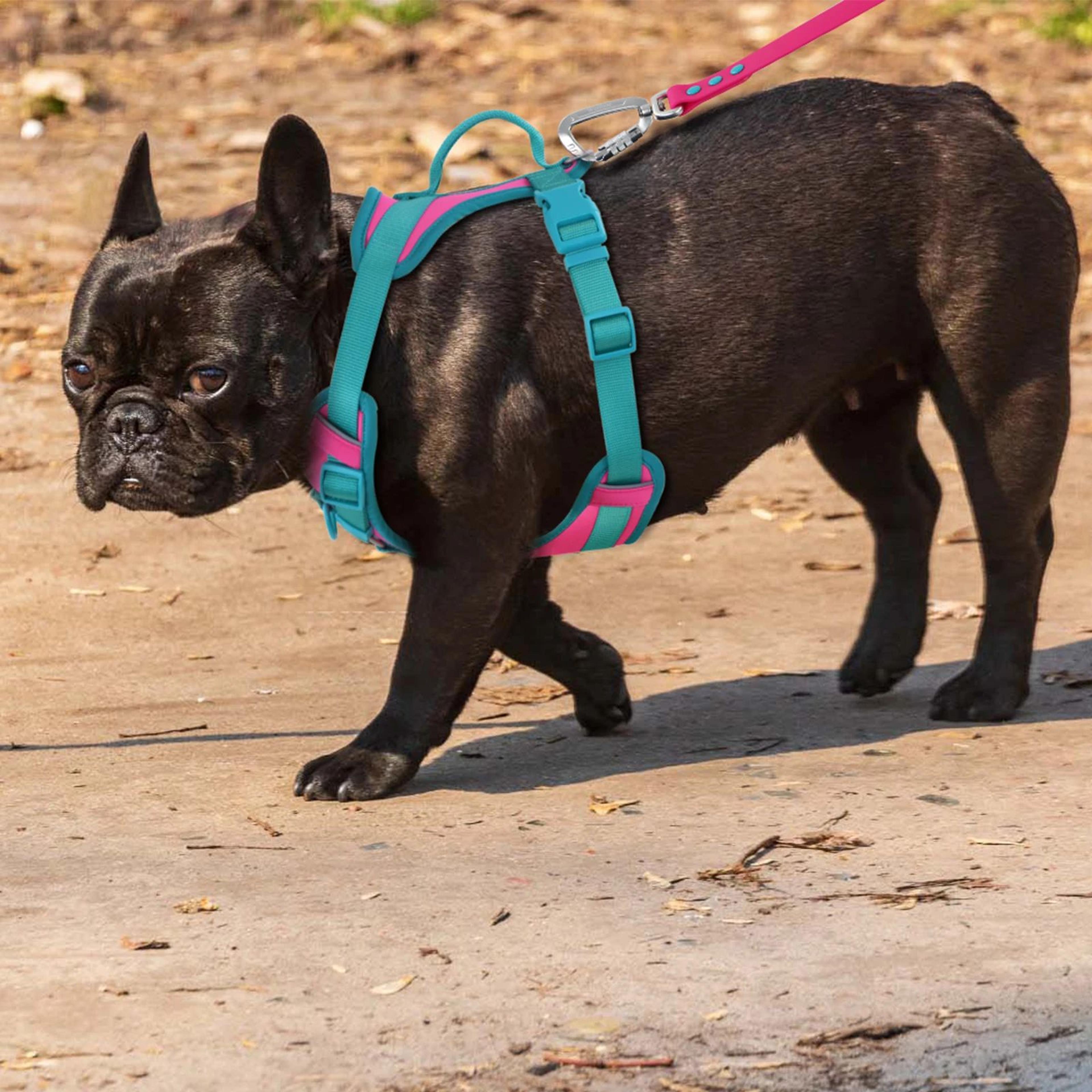 Breathable No Pull Adjustable Dog Harness 7