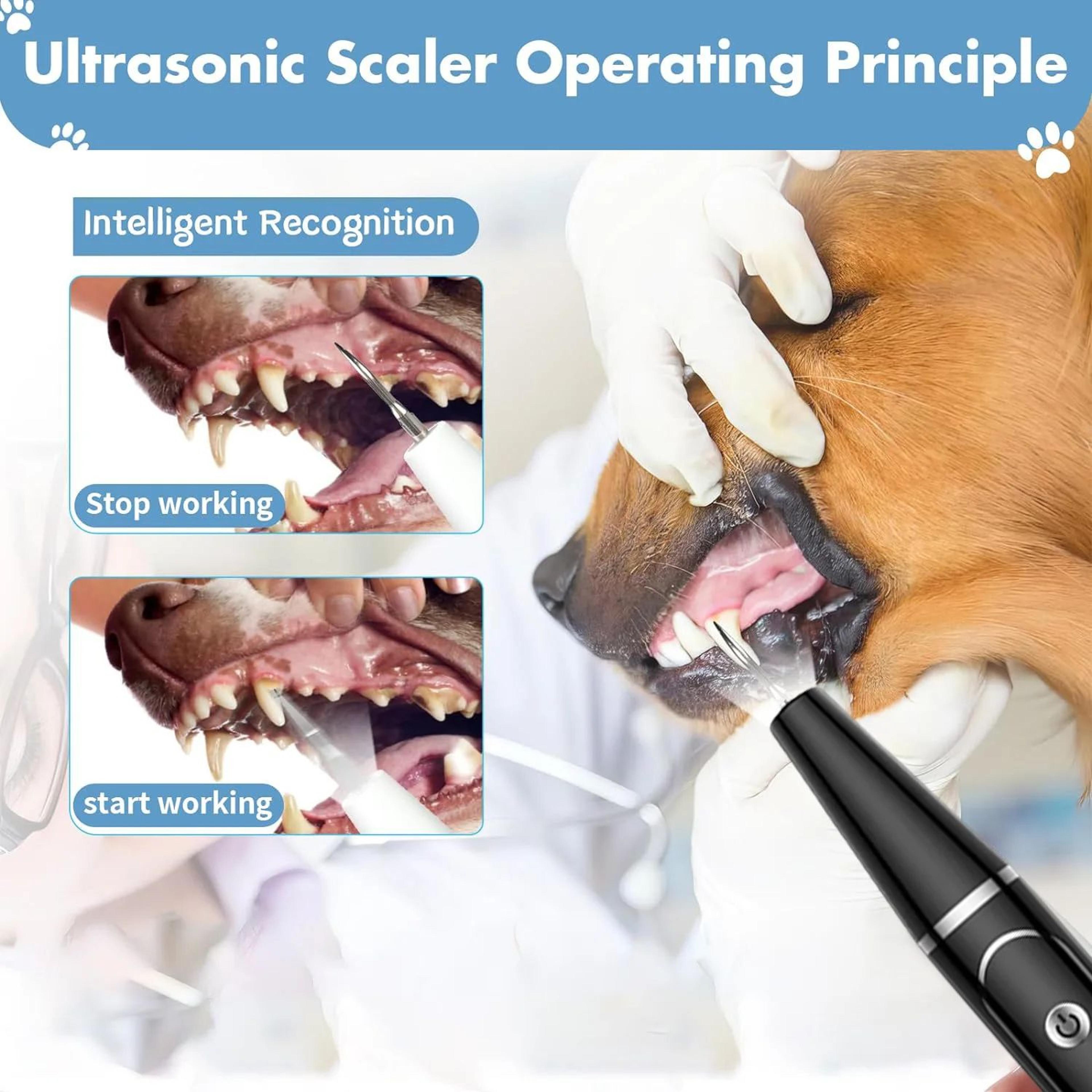 Ultrasonic Pet Tooth Cleaner Kit For Dogs And Cats 2