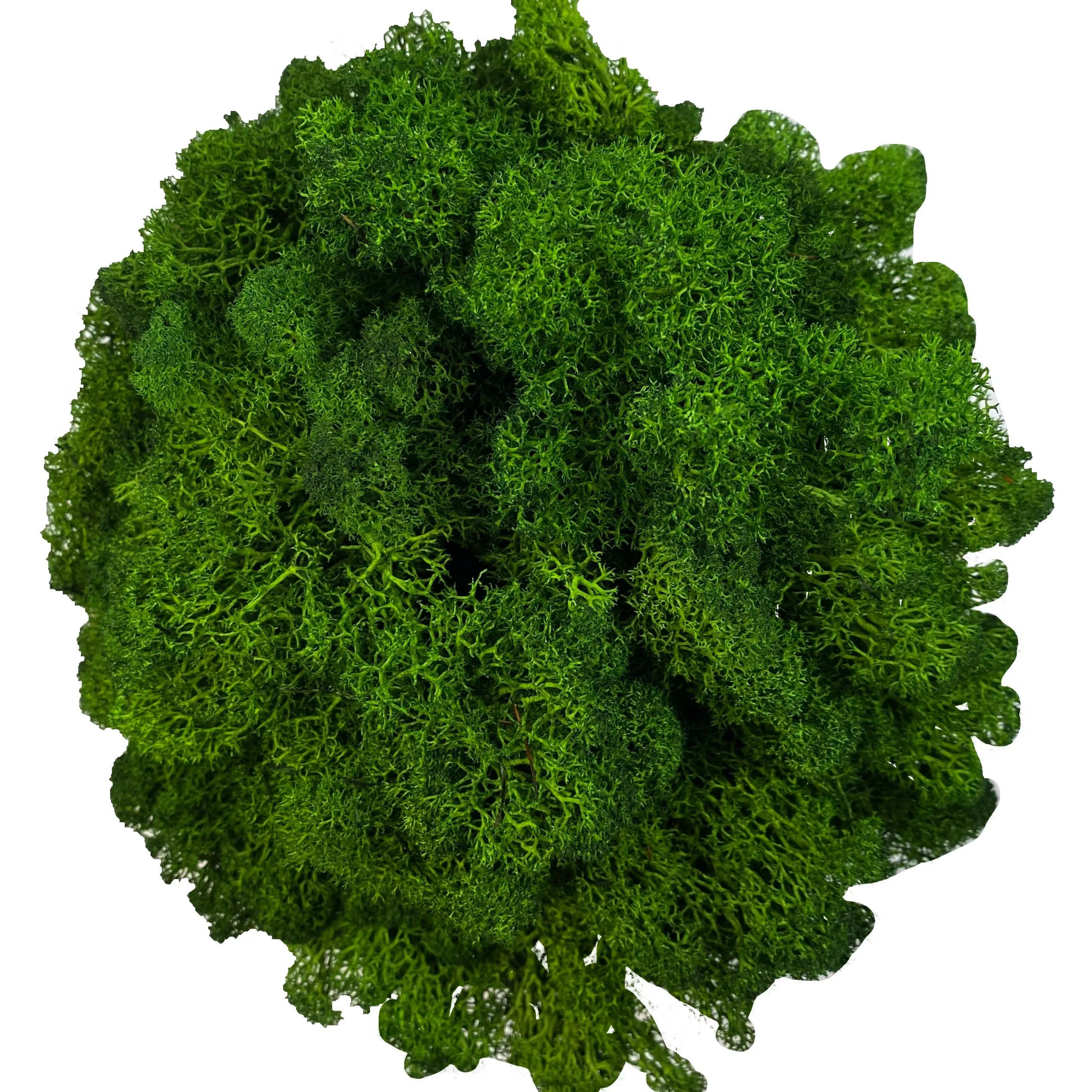 artificial reindeer moss decorative greenery