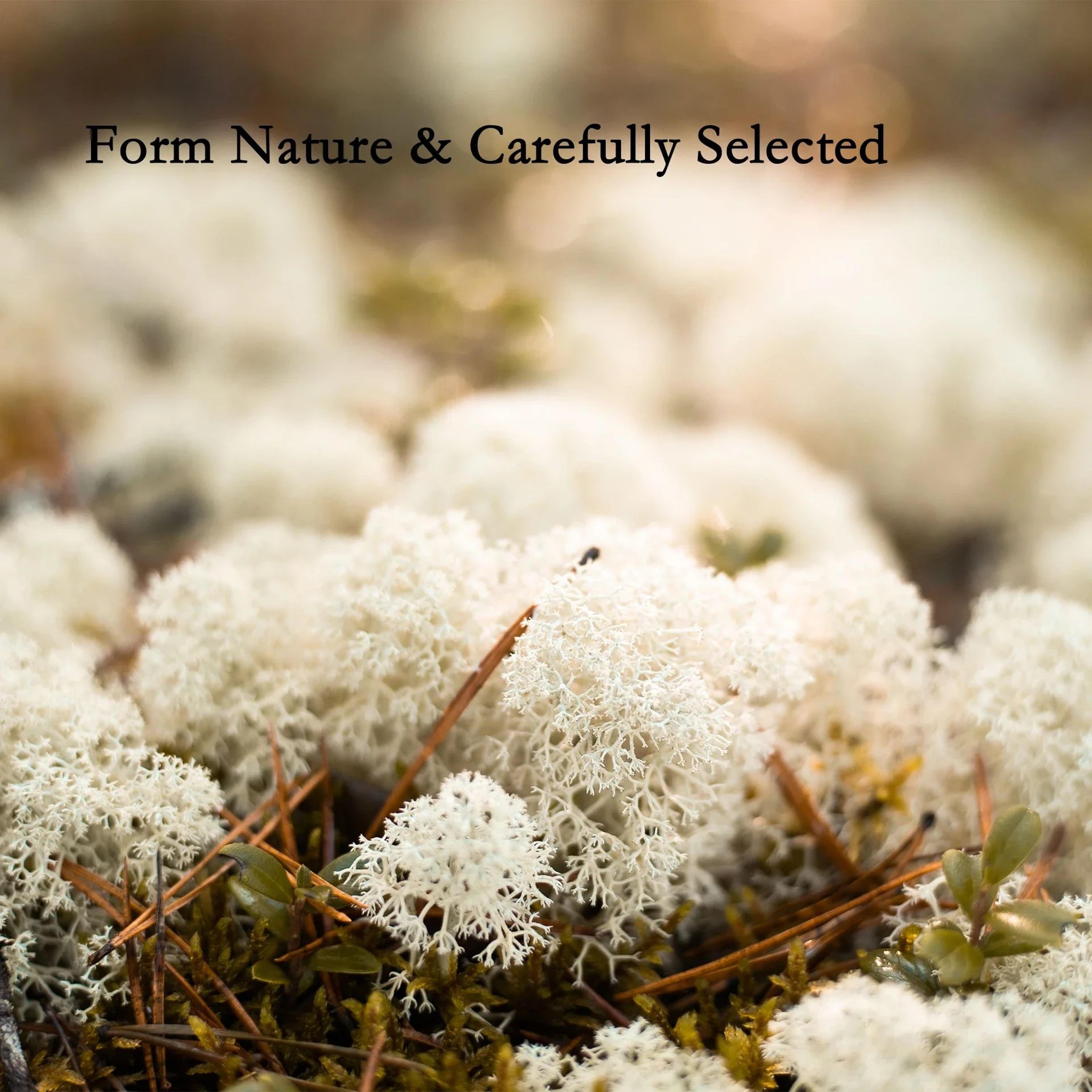 Artificial Reindeer Moss Decorative Greenery 5