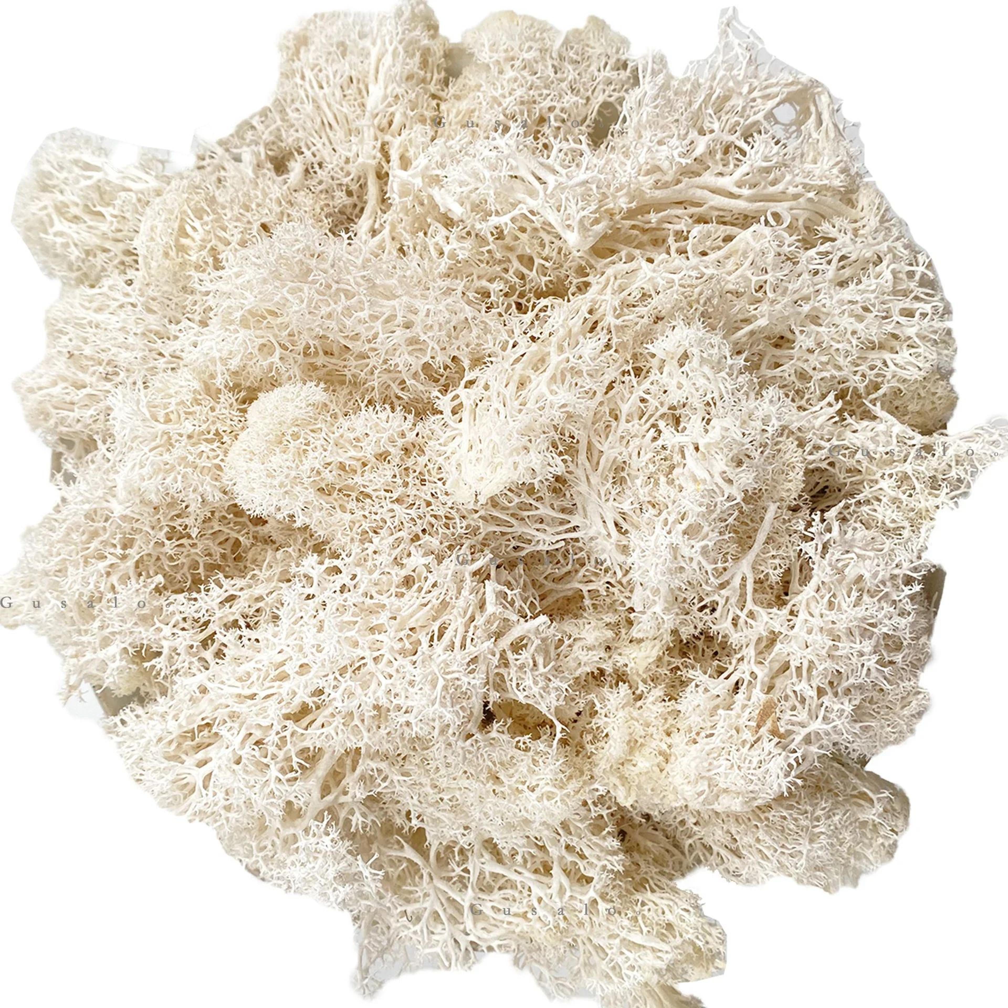 Artificial Reindeer Moss Decorative Greenery 6