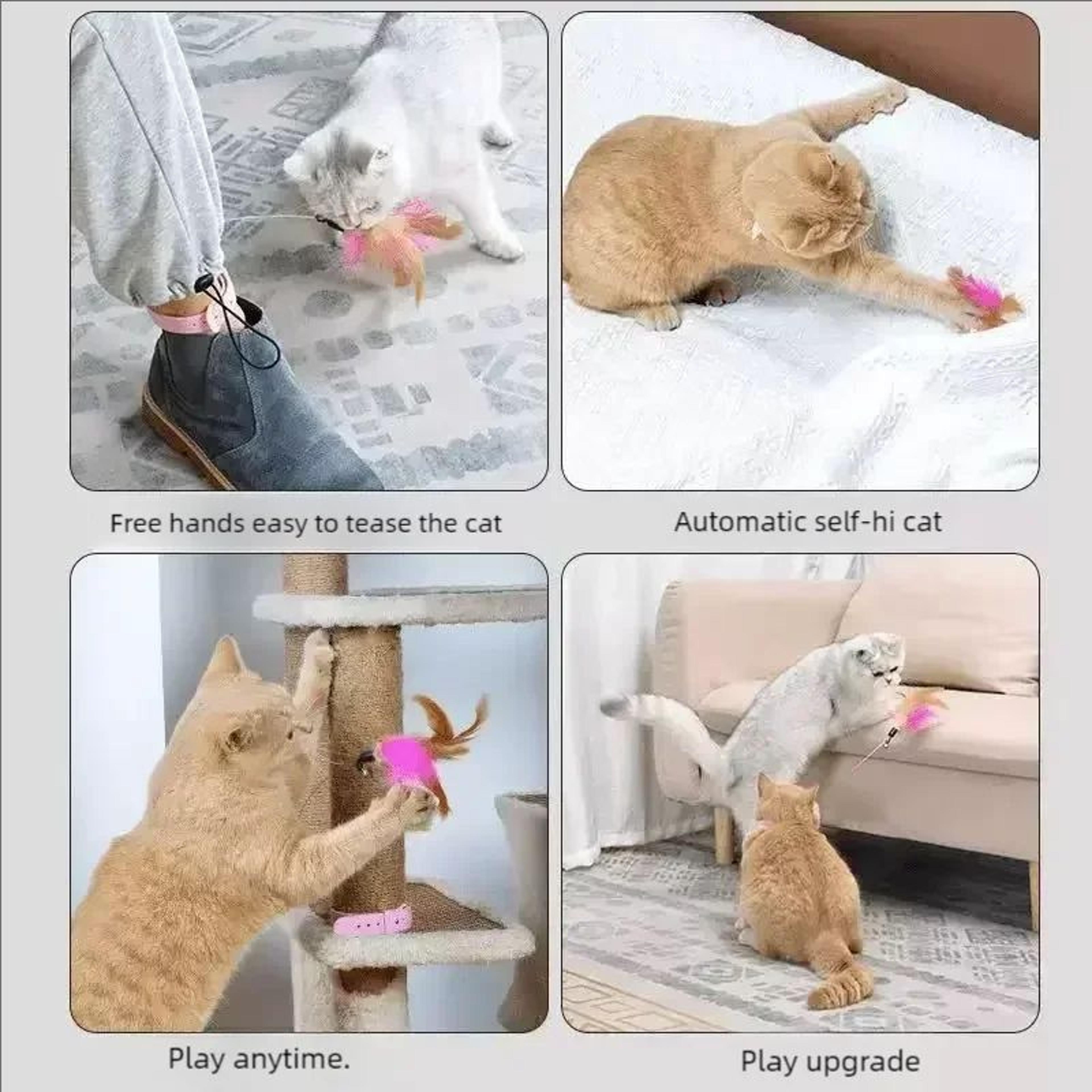Interactive Suction Cup Cat Teaser Wand 10