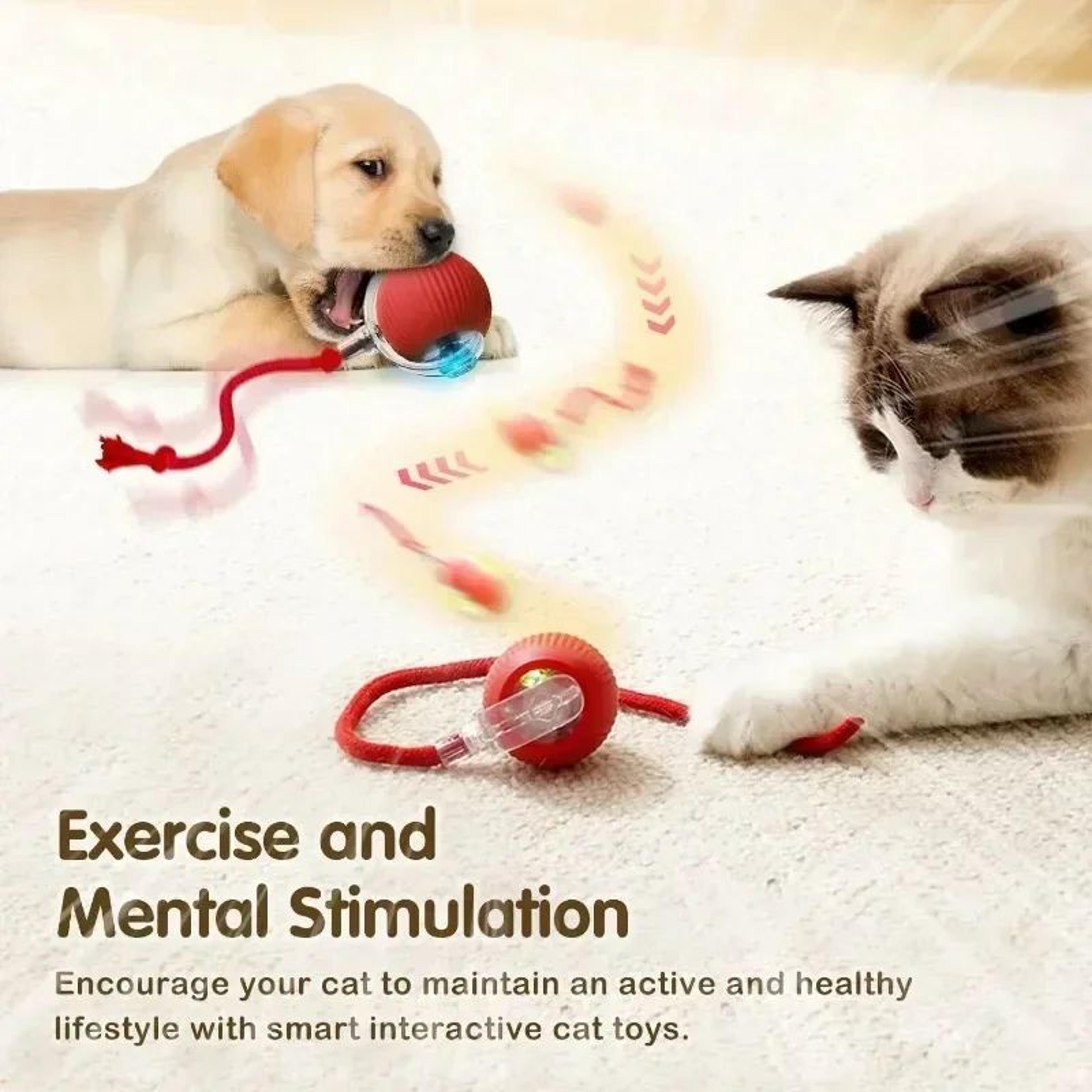 Rechargeable Smart Rolling Cat Ball Toy 3