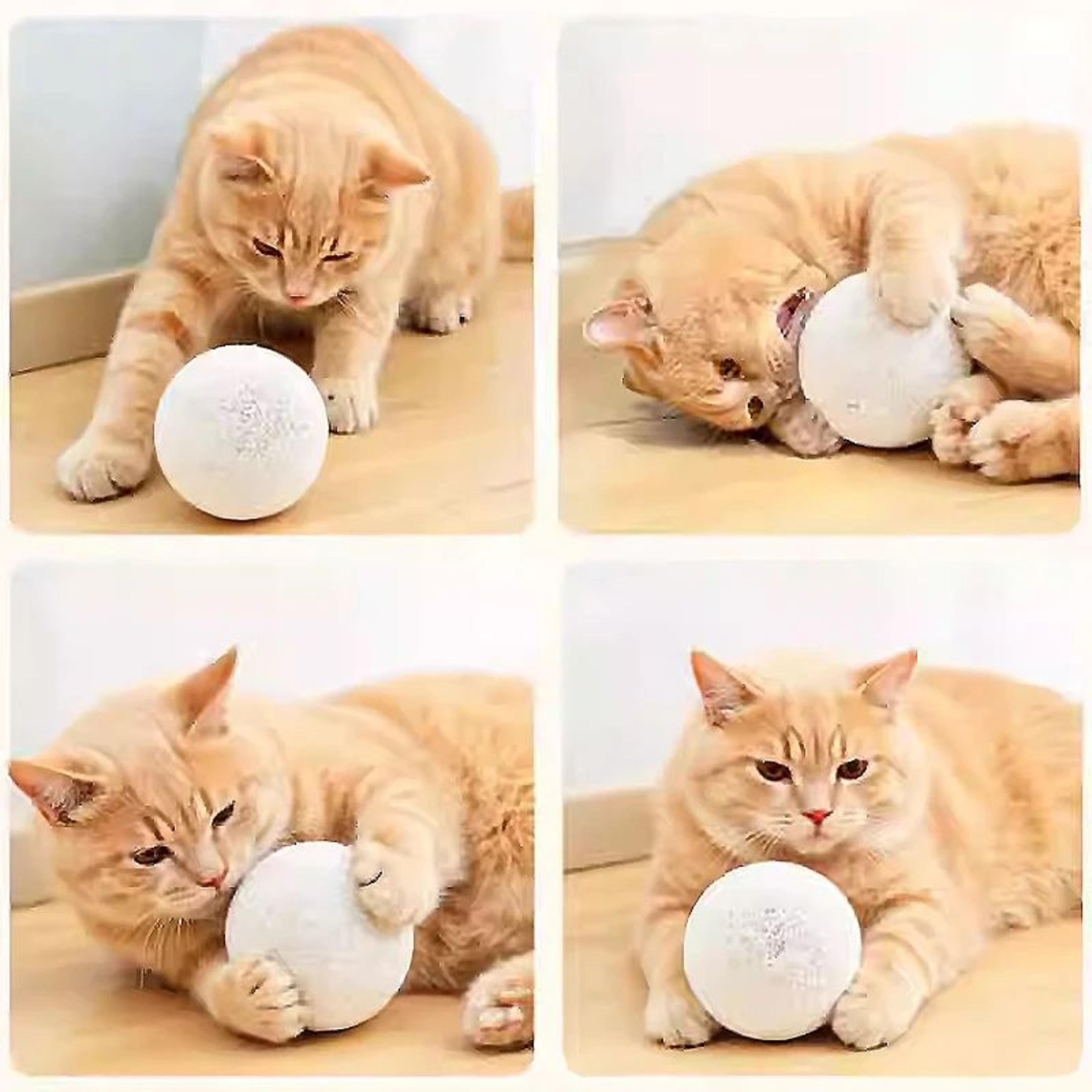 Silent Wool Ball Cat Teaser Toy 5