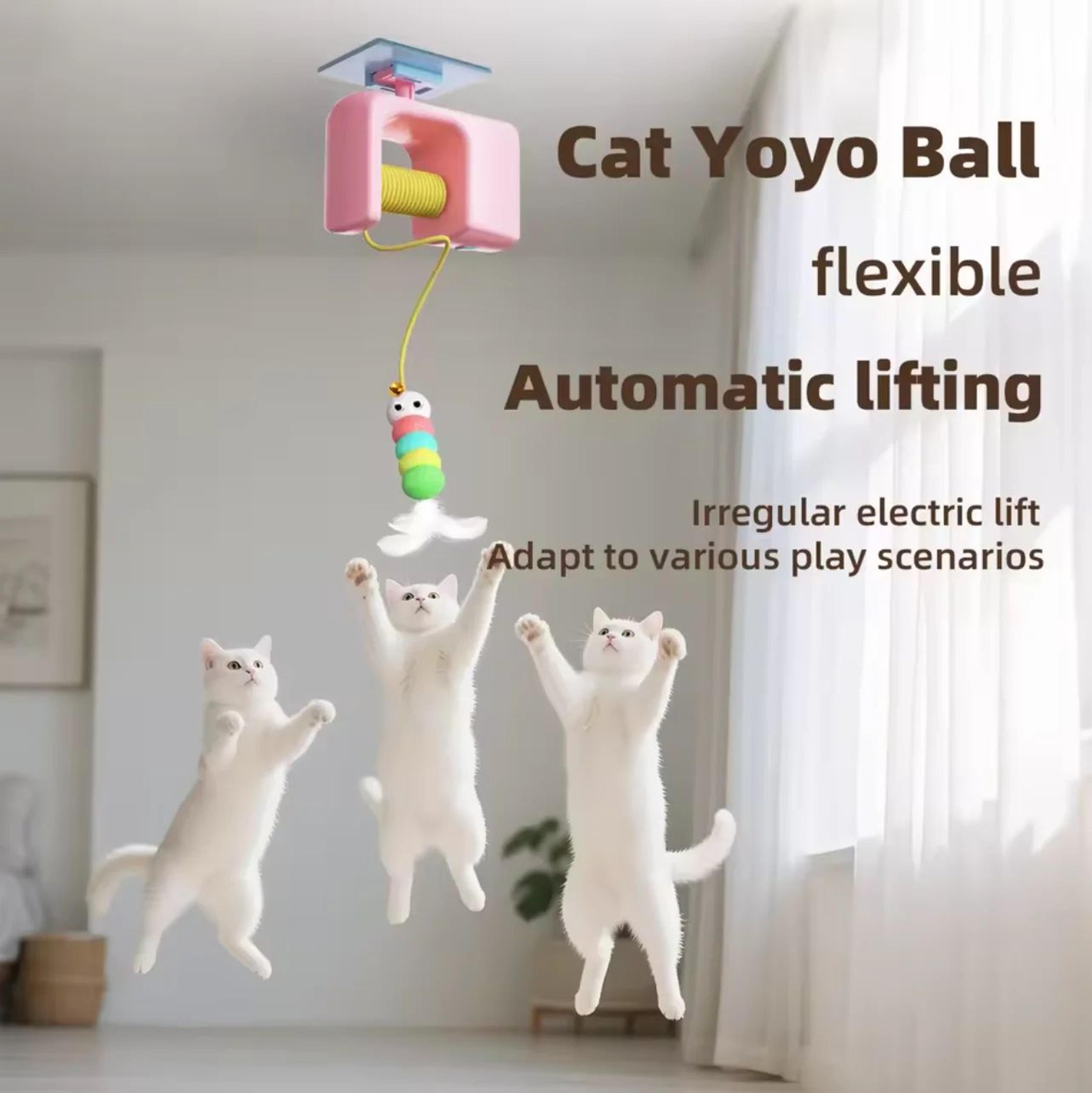 Interactive Flying Bird Cat Toy 0