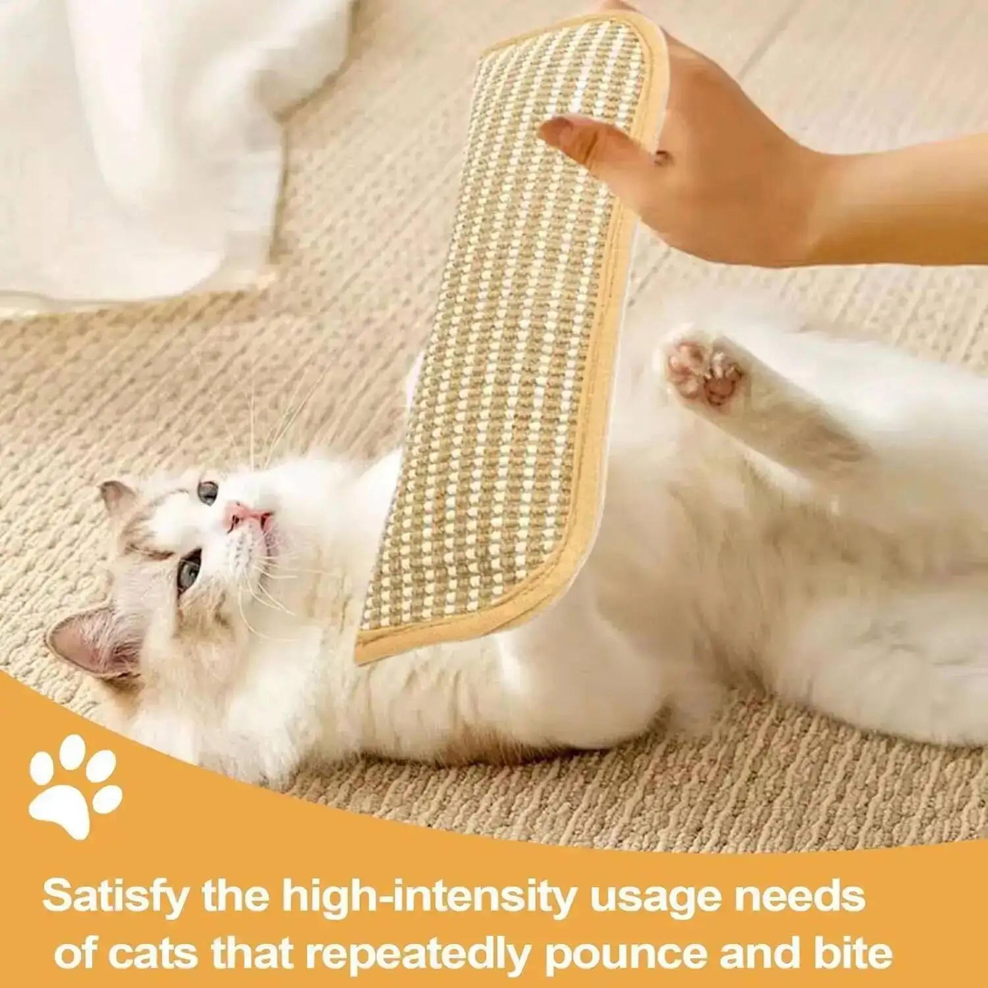 Interactive Catnip Scratching Pillow Toy 6