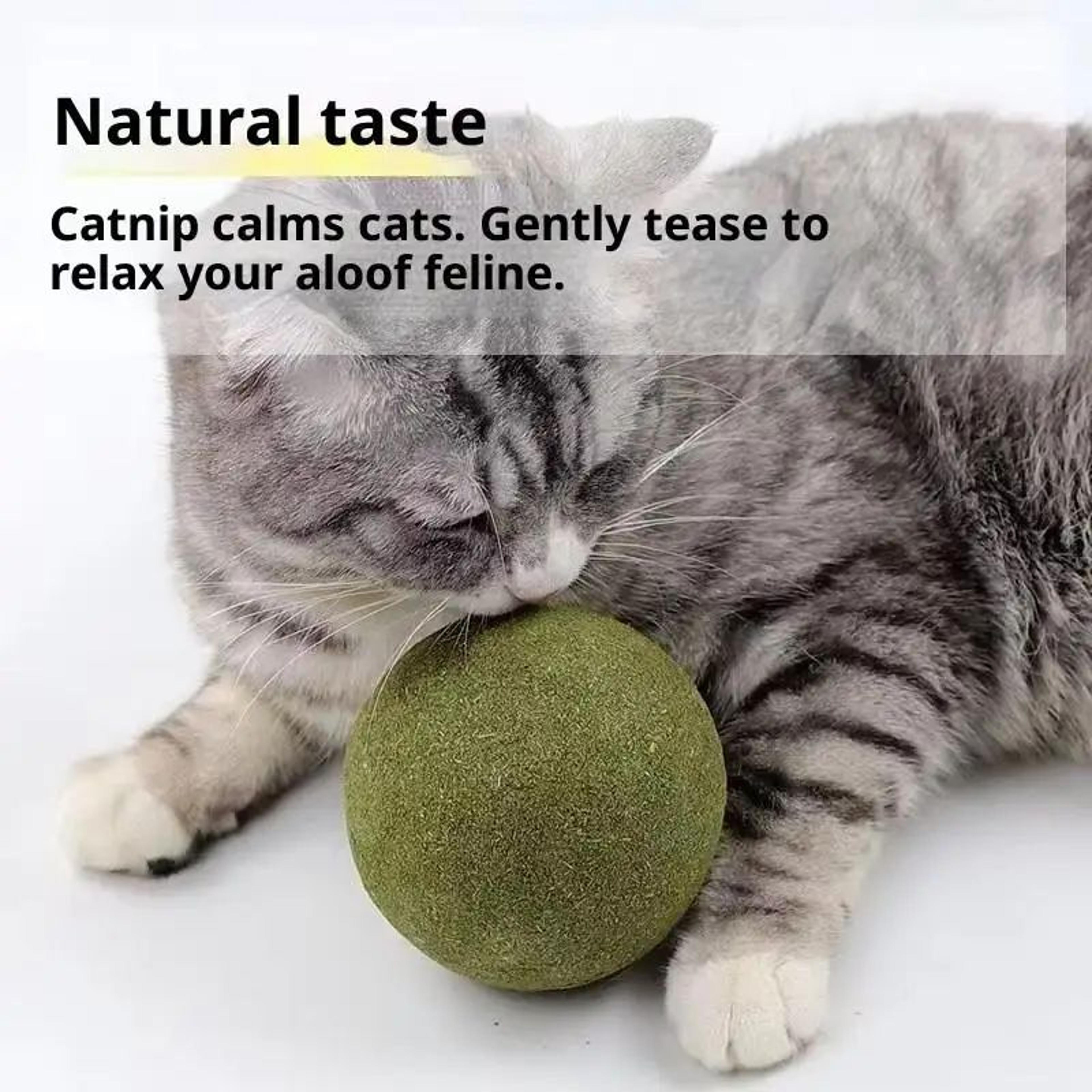 Natural Catnip Mint Ball Toy 3