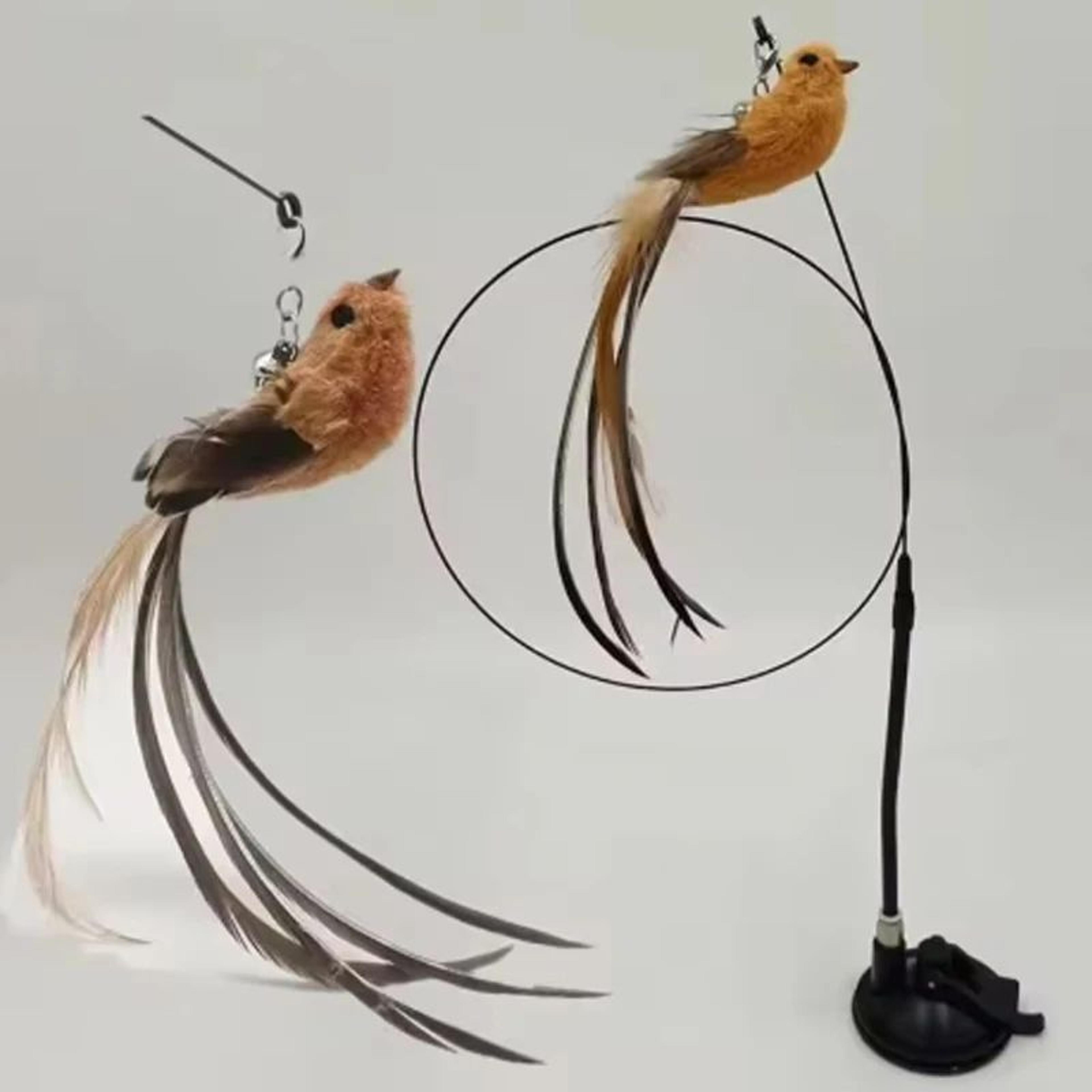 Suction Cup Feather Bird Cat Teaser Toy 3