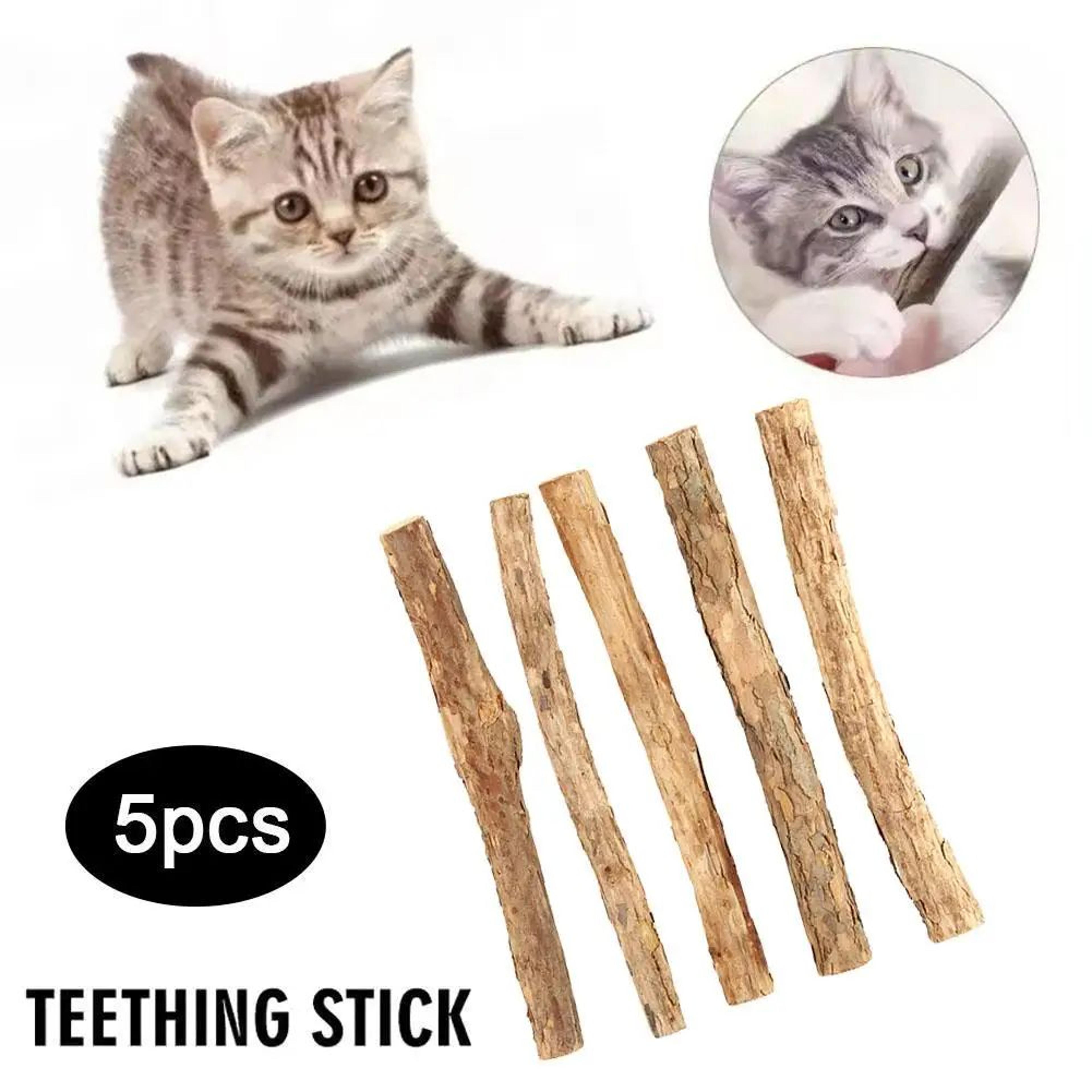 natural catnip sticks dental chew toys