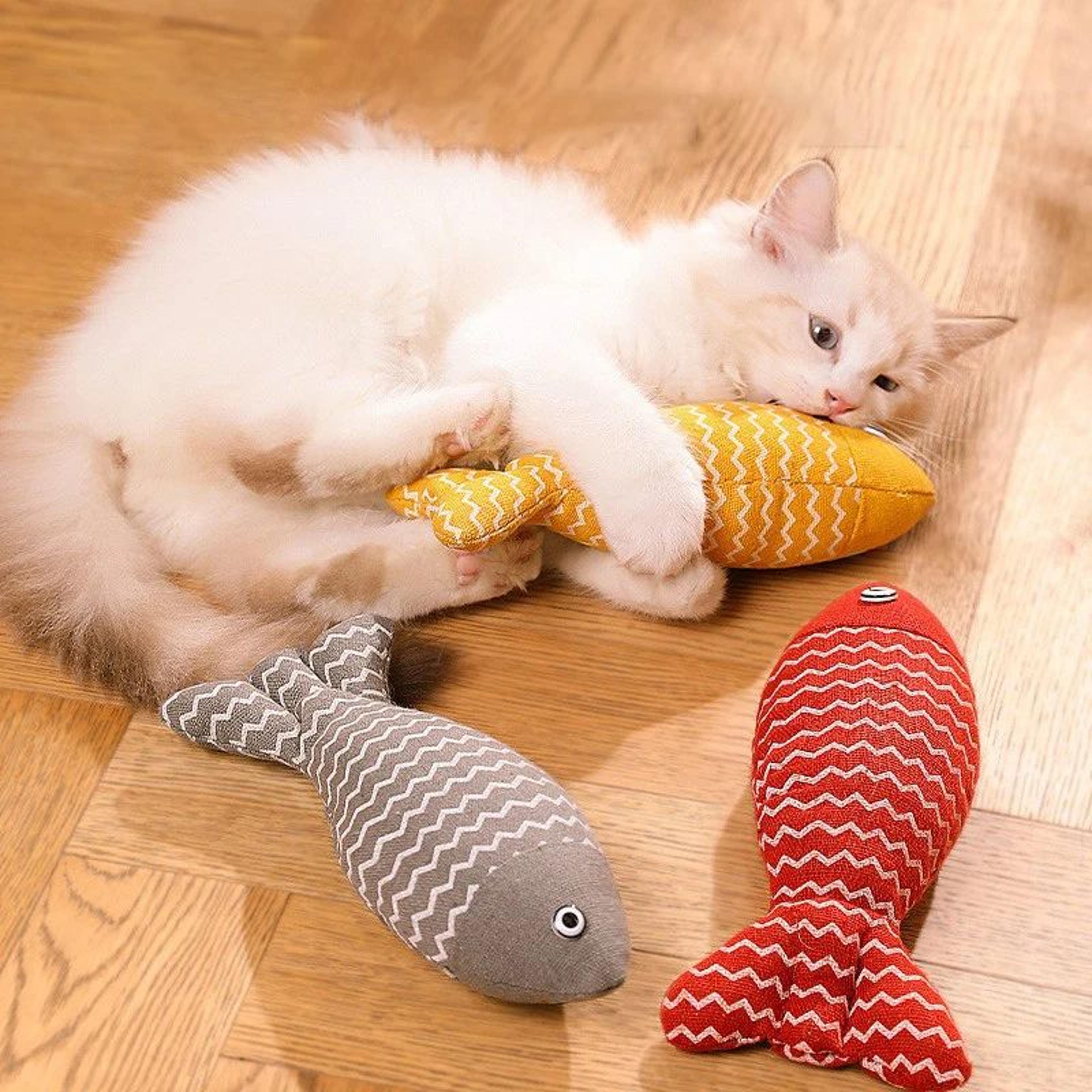 Interactive Fish Cat Kicker Toy 2