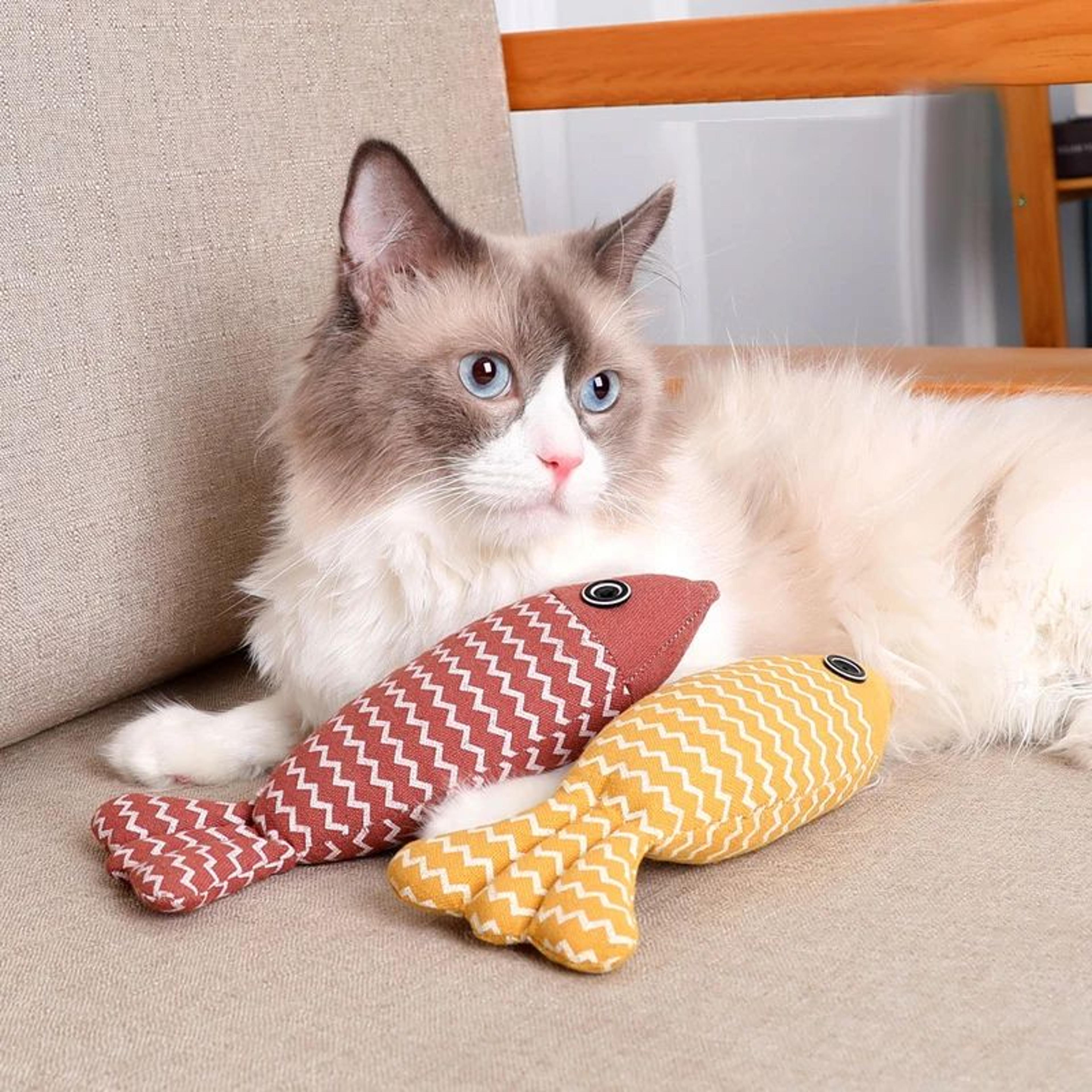 Interactive Fish Cat Kicker Toy 7