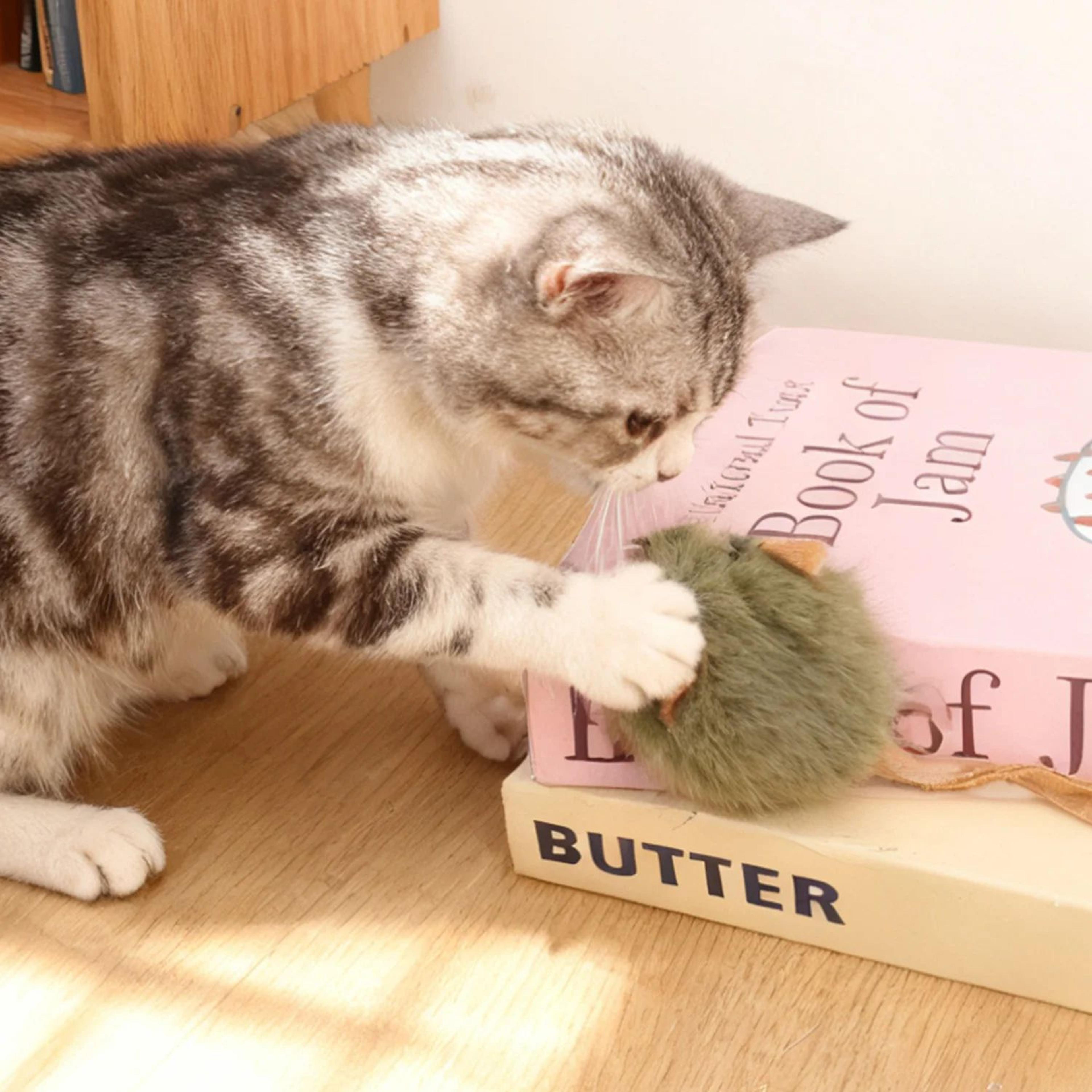 Interactive Plush Mouse Cat Toy Set 2
