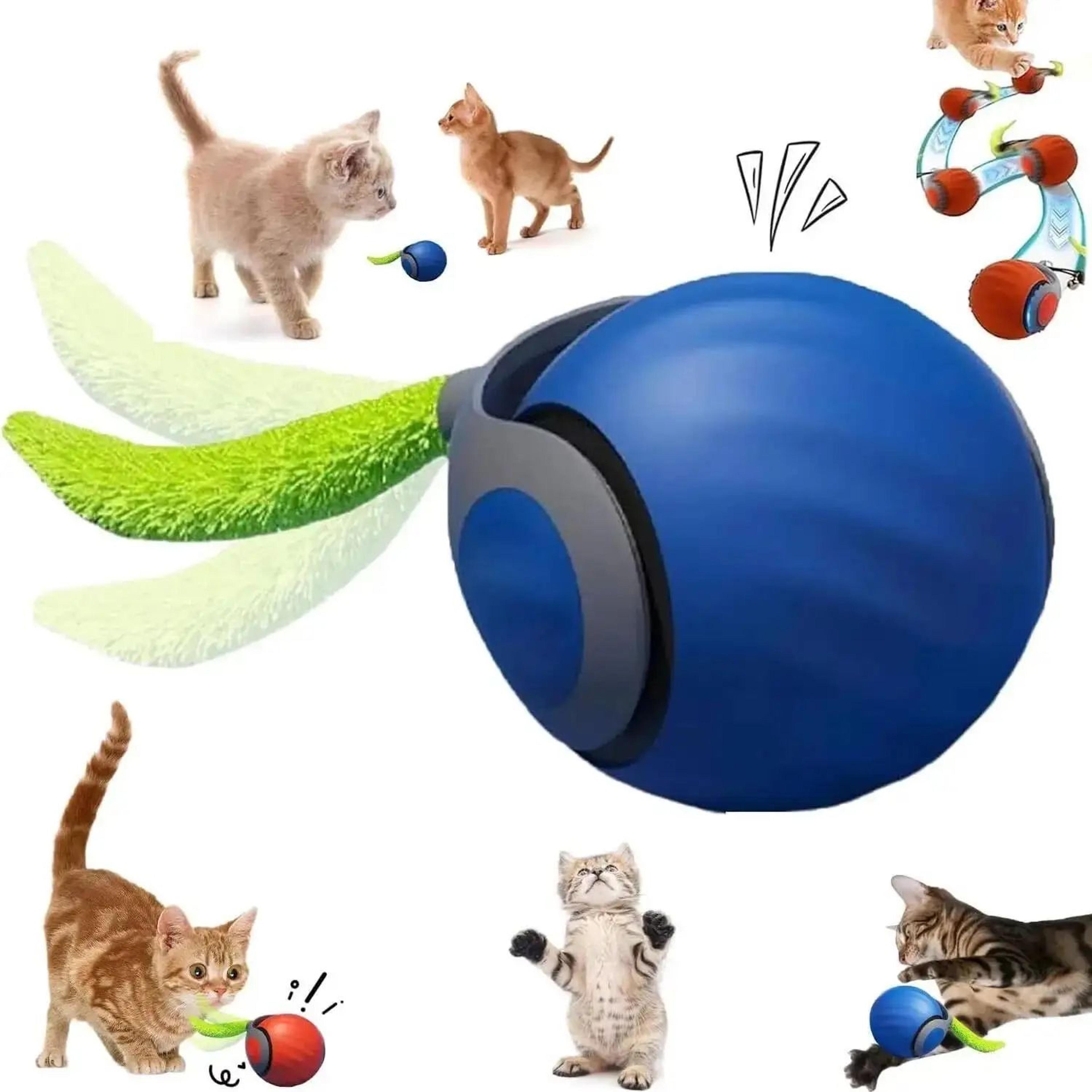 Interactive Hanging Bird Cat Teaser Toy 22