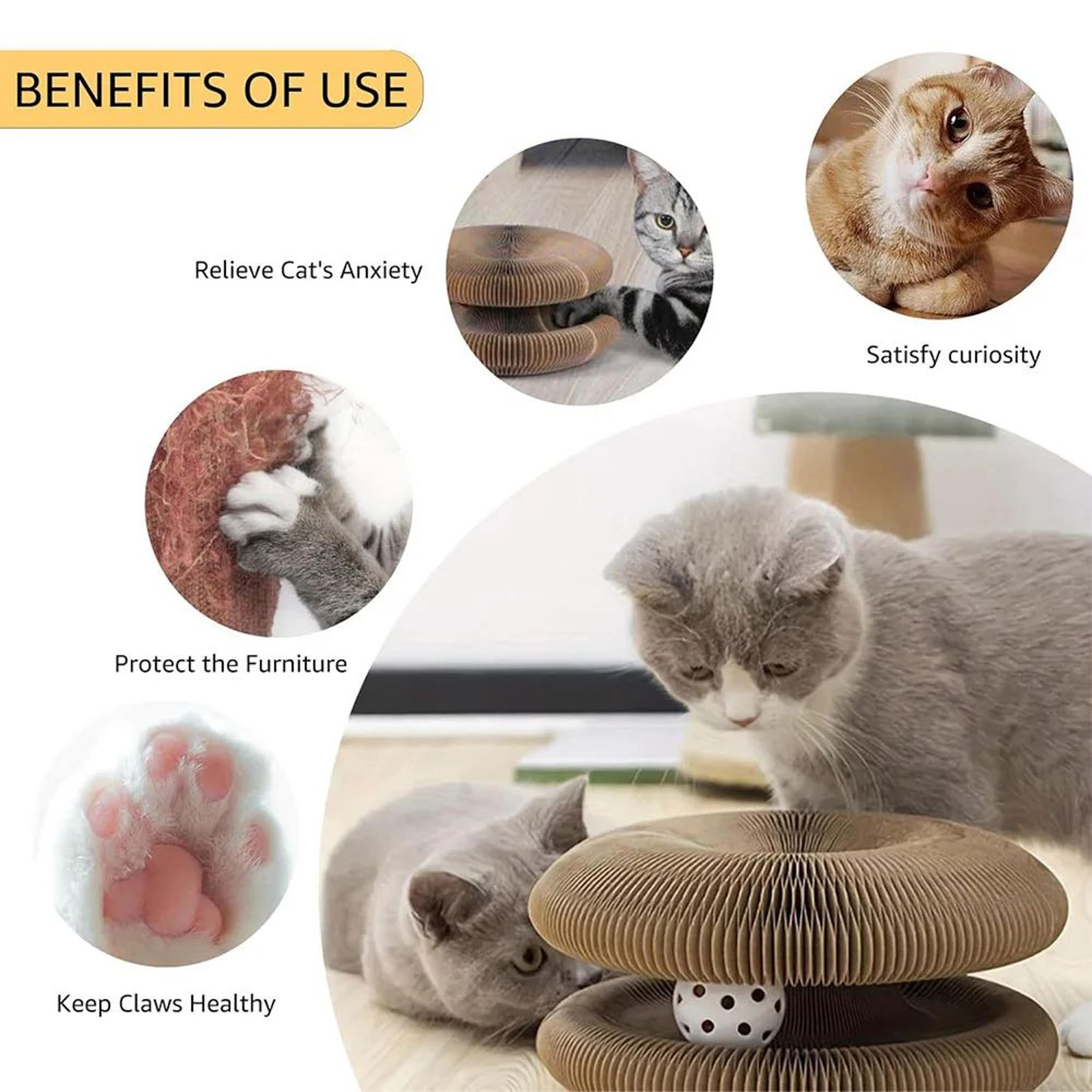 Magic Organ Cat Scratching Board Toy 1