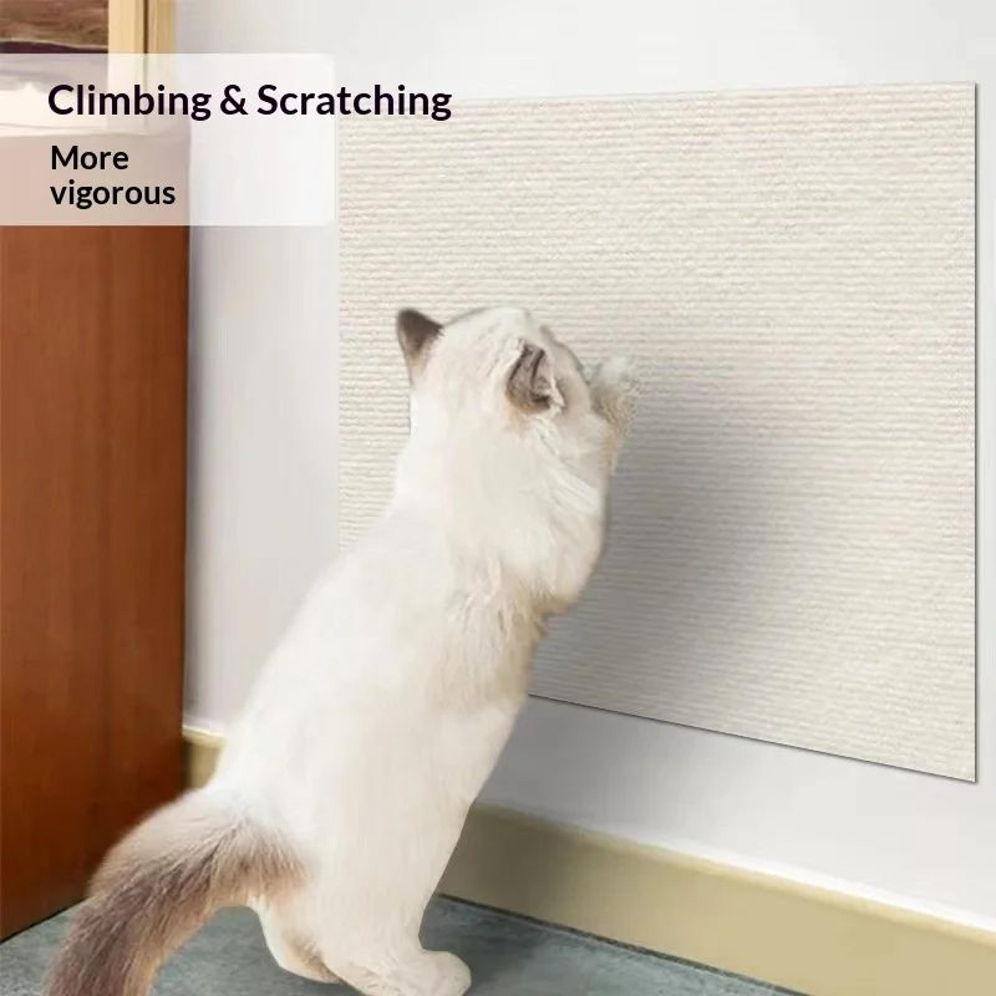 Self Adhesive Anti Cat Scratching Mat Protector 19