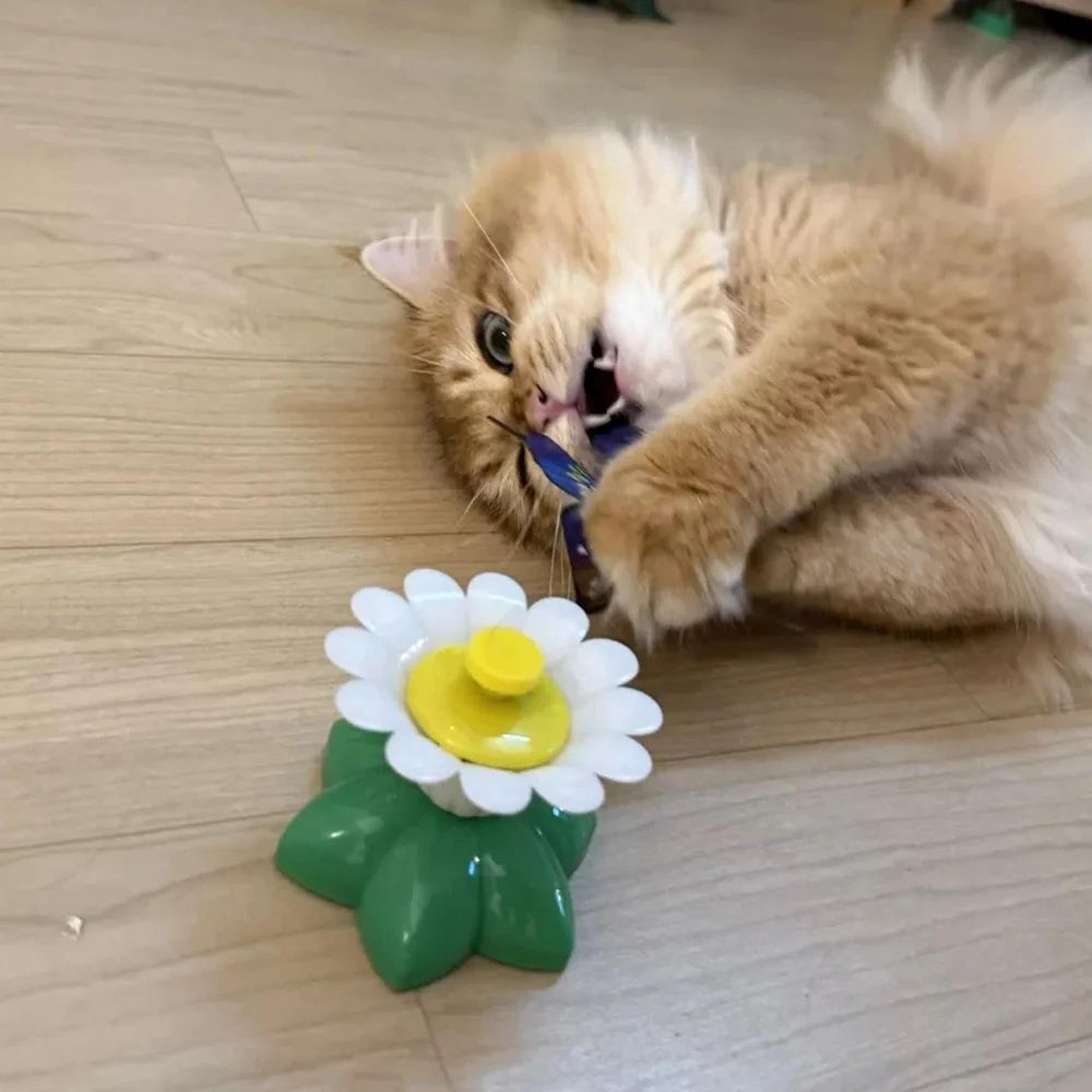 Automatic Rotating Butterfly Bird Interactive Cat Toy 1