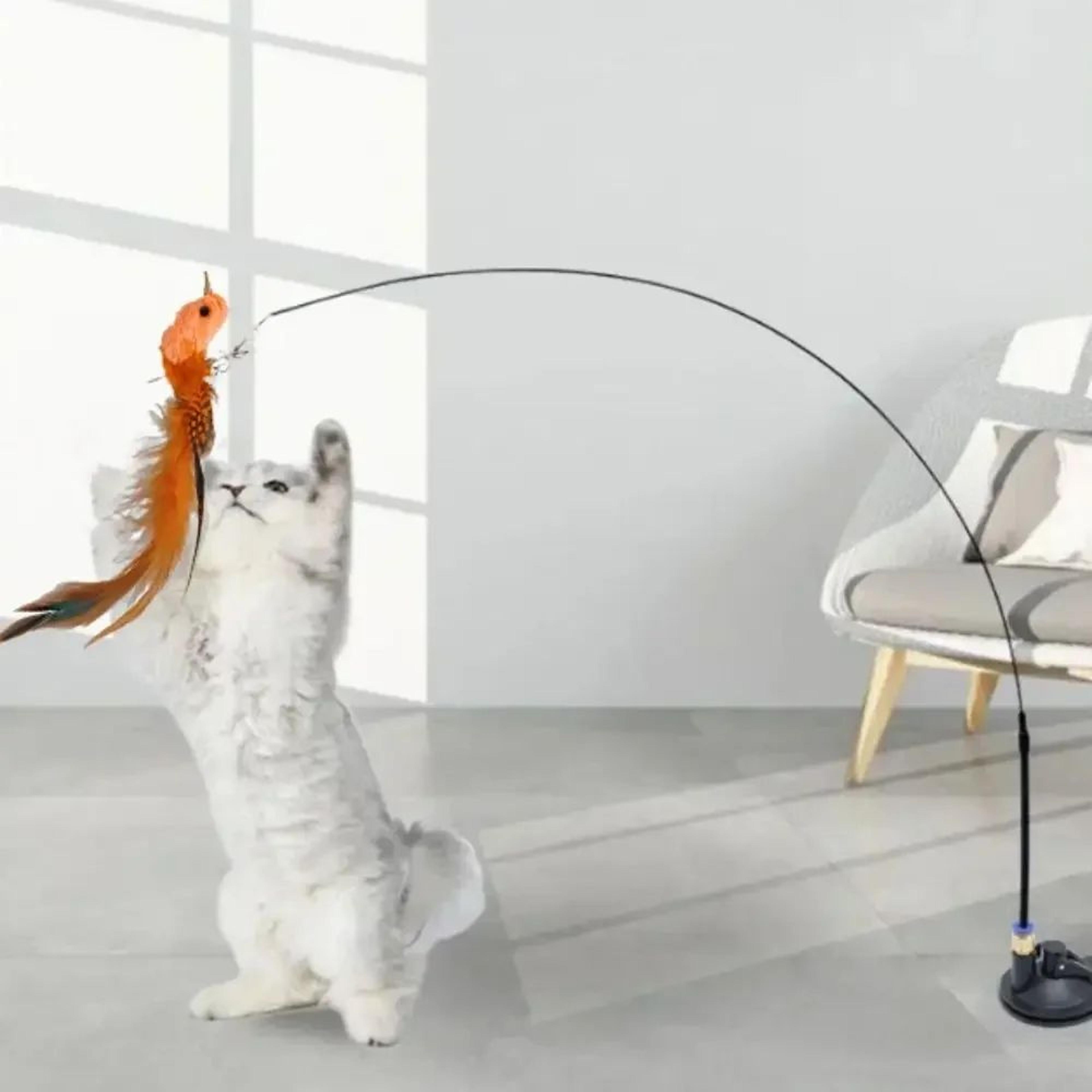 Interactive Feather Bird Cat Teaser Wand Toy 1