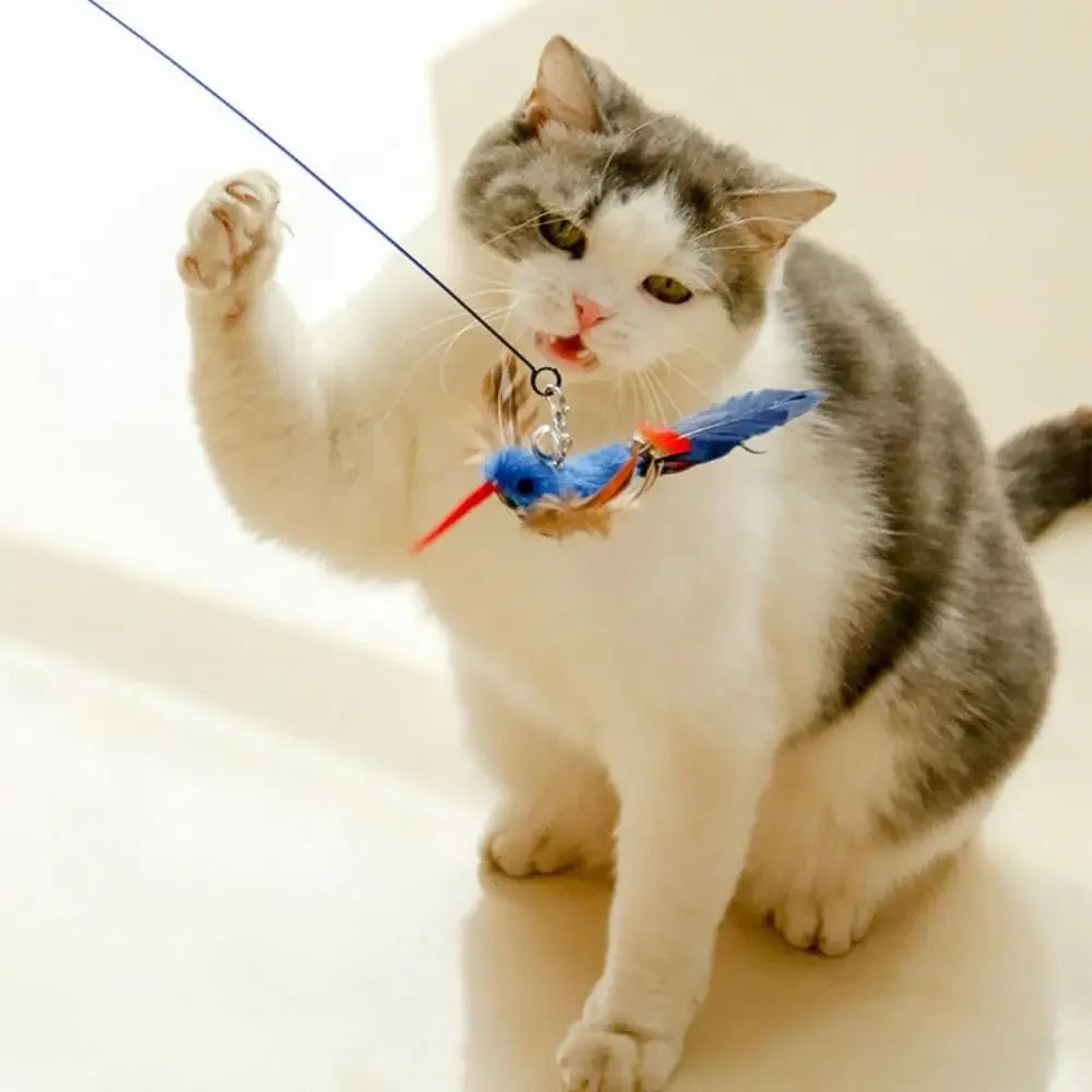 Interactive Feather Bird Cat Teaser Wand Toy 3
