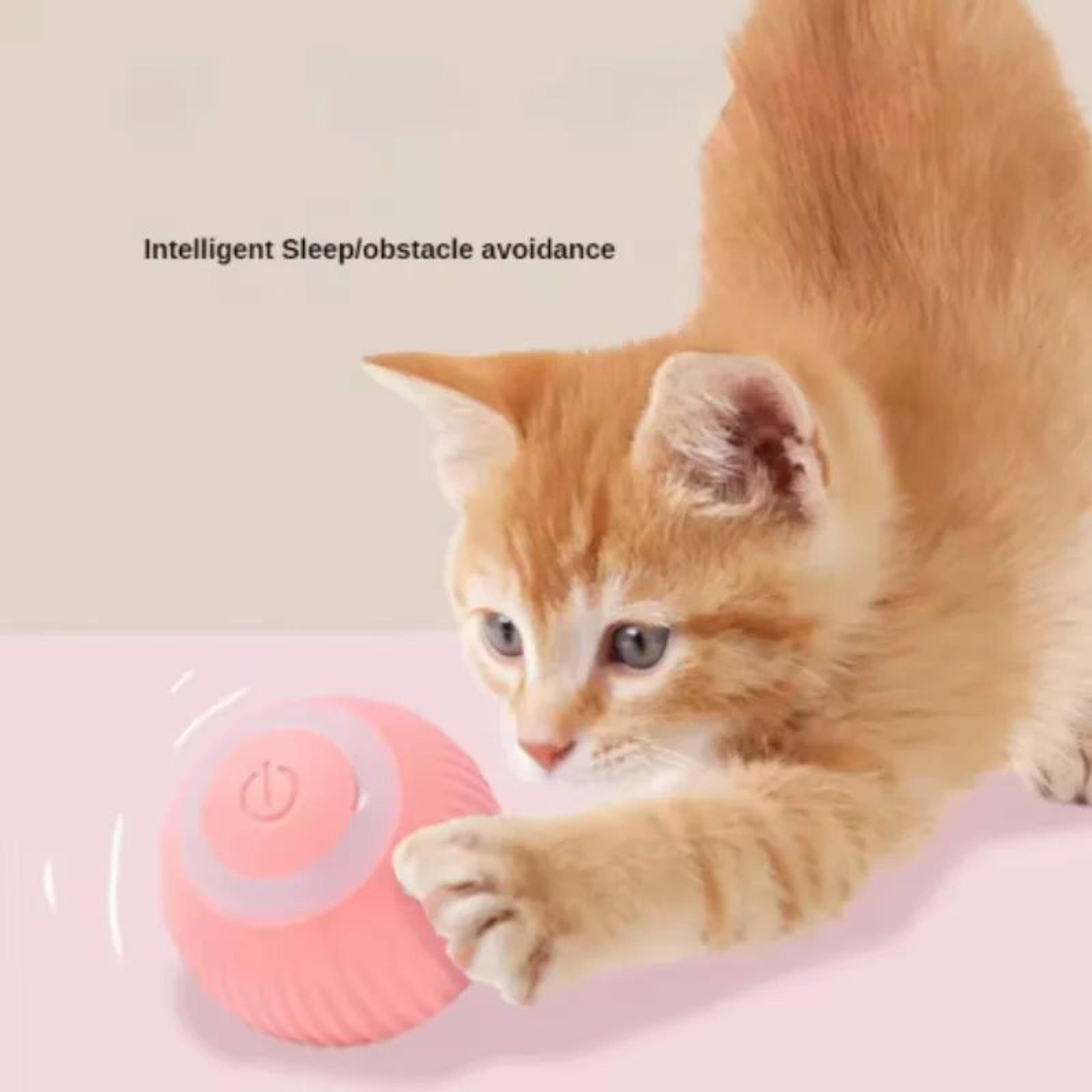 Smart Automatic Rolling Cat Ball Toy For Indoor Cats 2