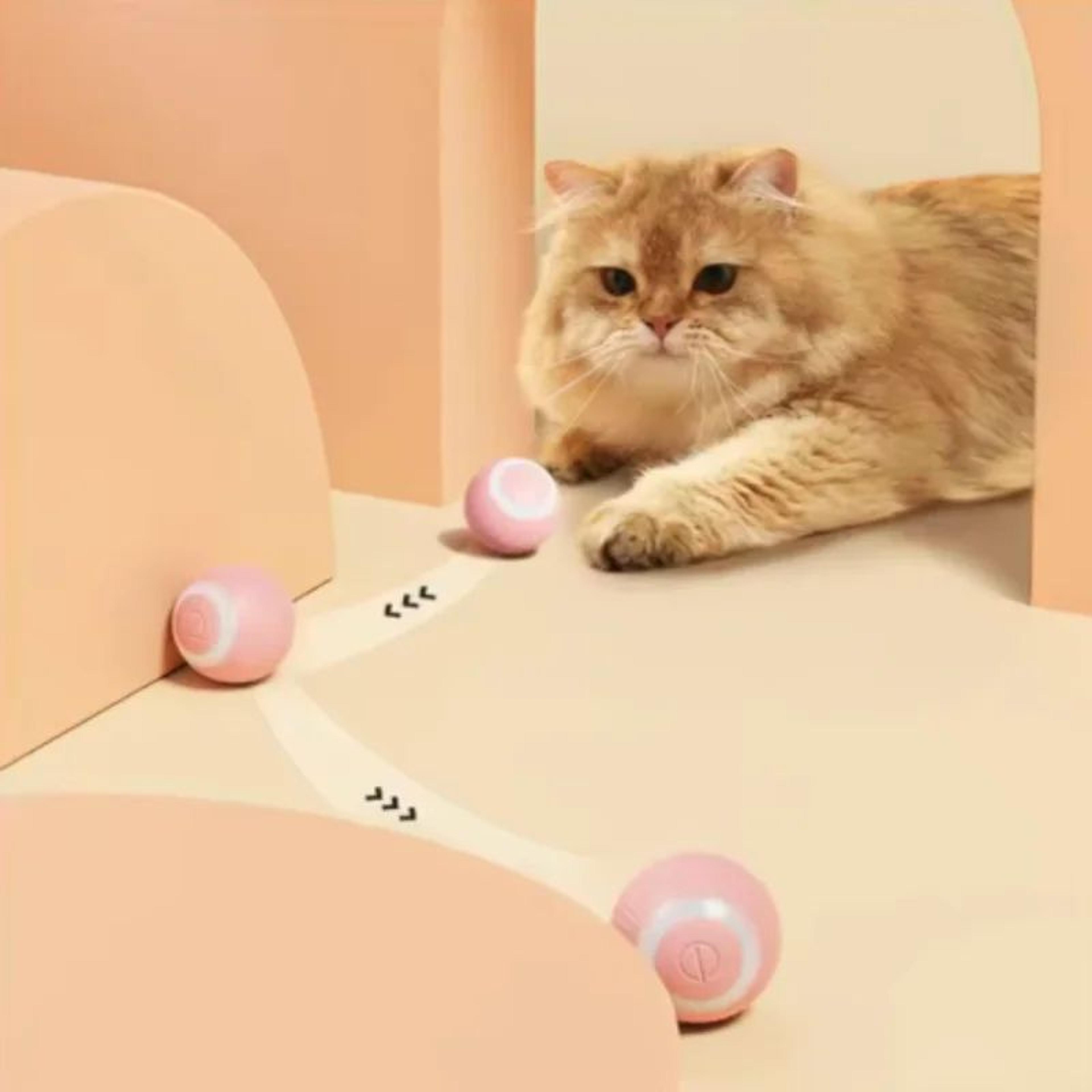 Smart Automatic Rolling Cat Ball Toy For Indoor Cats 5