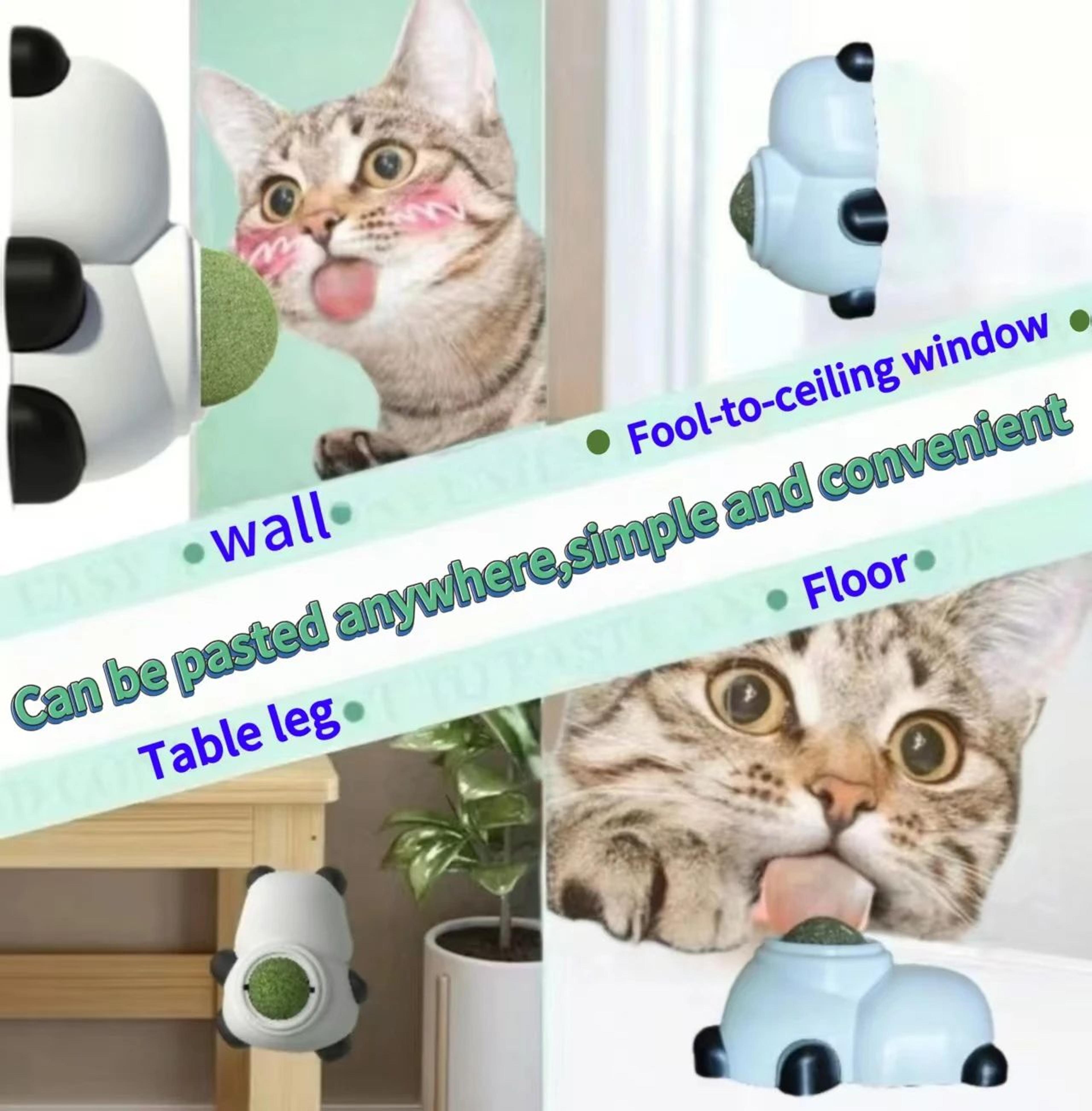 Natural Catnip Wall Sticky Ball Toy 3