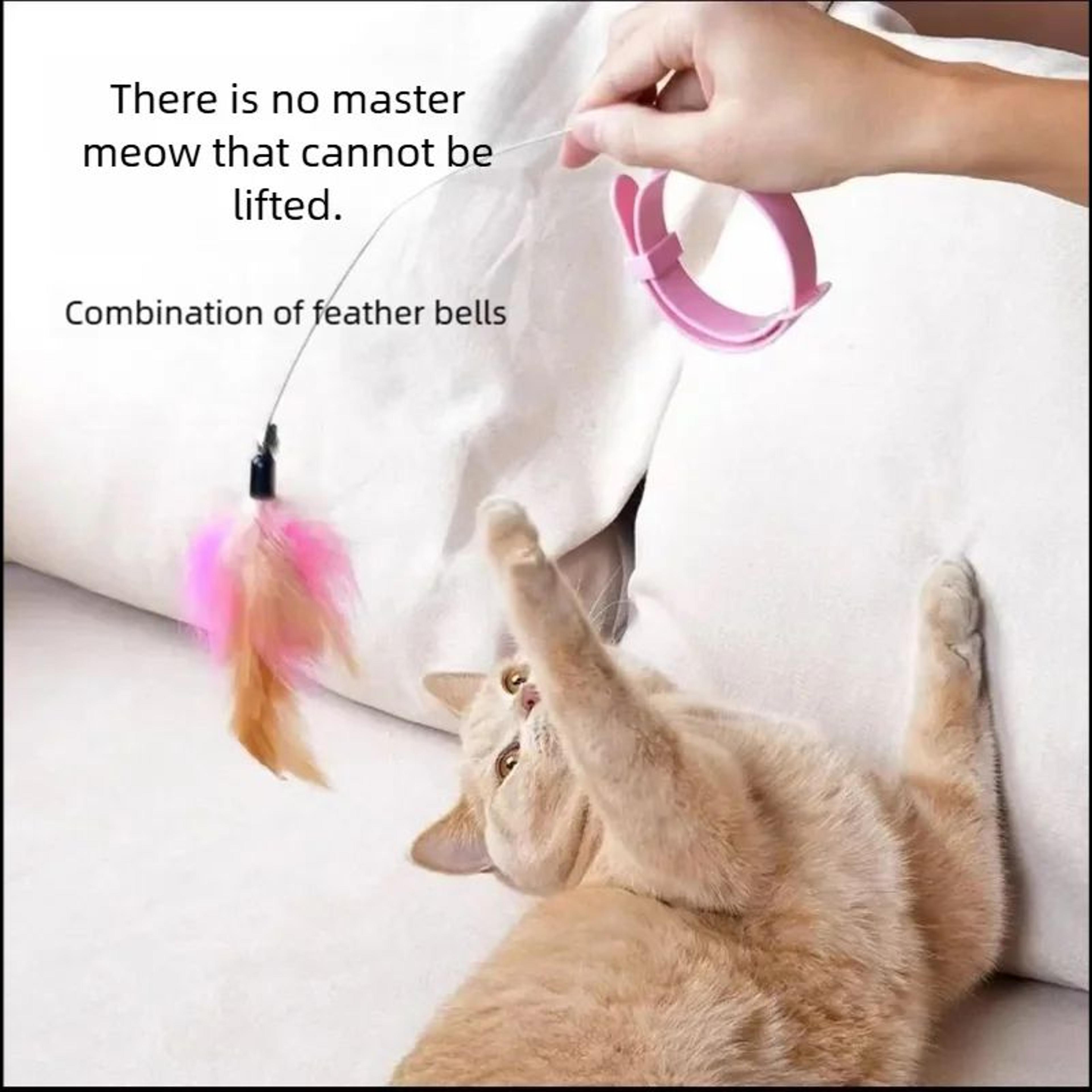 Feather Bell Cat Teaser Collar Toy 1