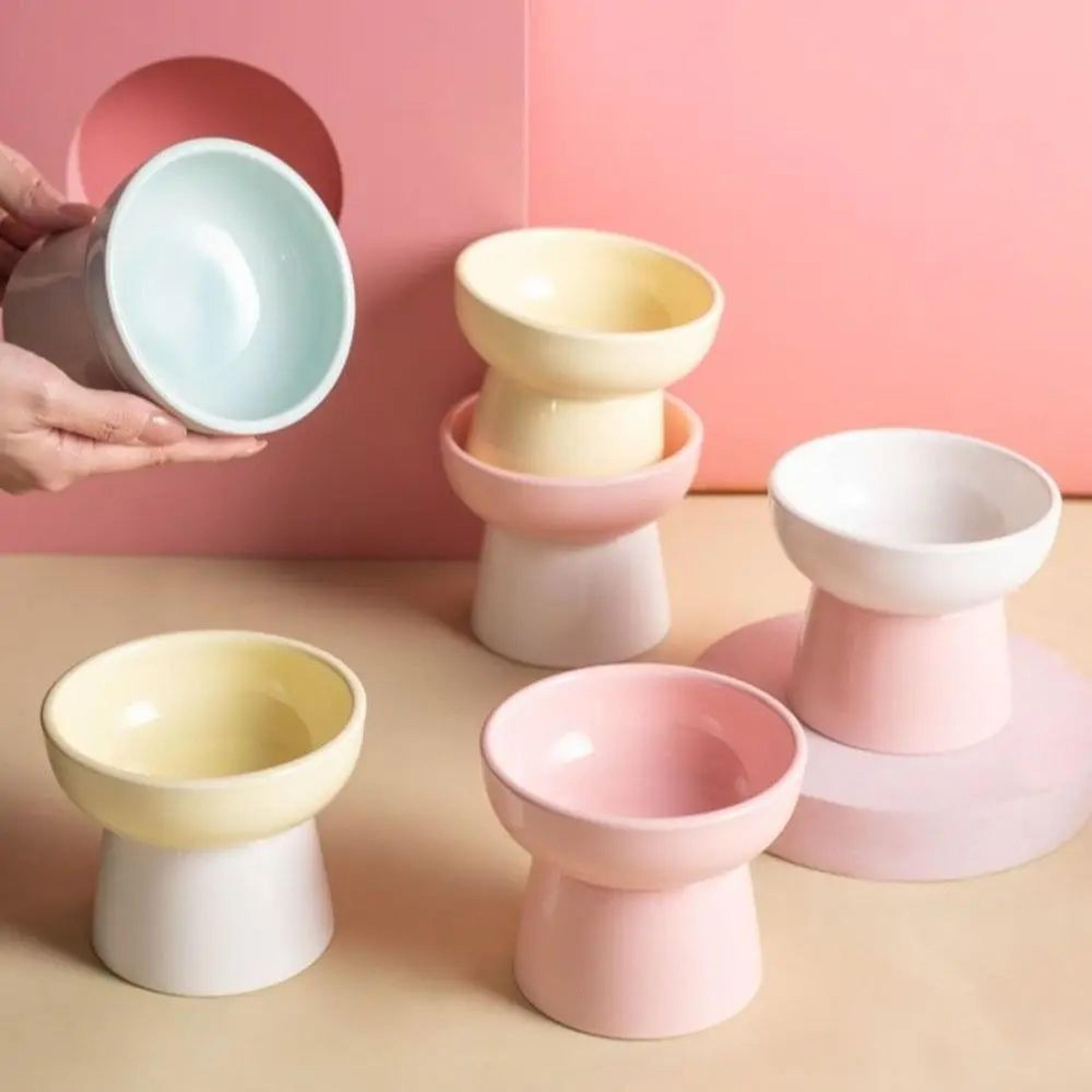Elevated Ceramic Pet Bowl With Raised Stand For Cats And Small Dogs 0