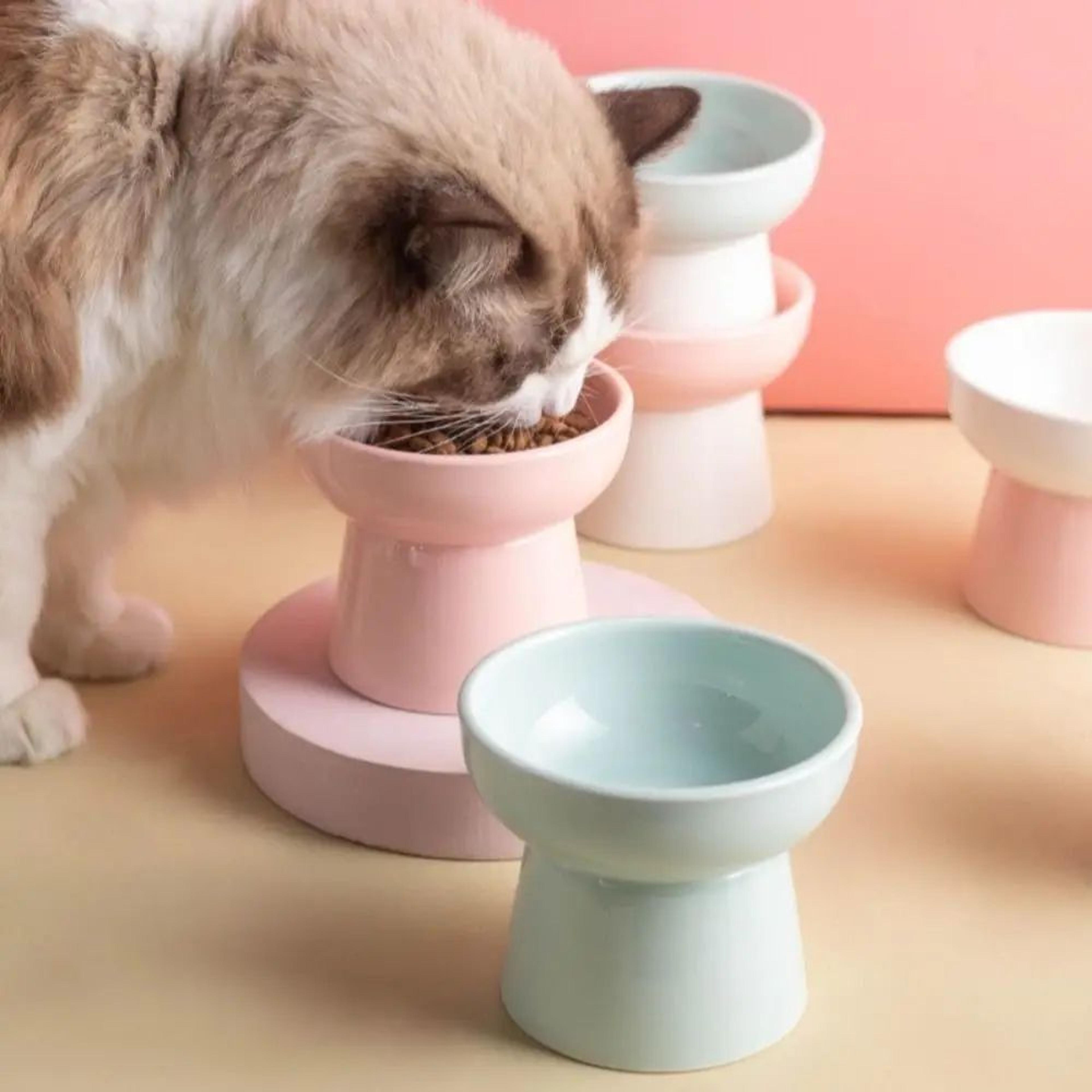 Elevated Ceramic Pet Bowl With Raised Stand For Cats And Small Dogs 2