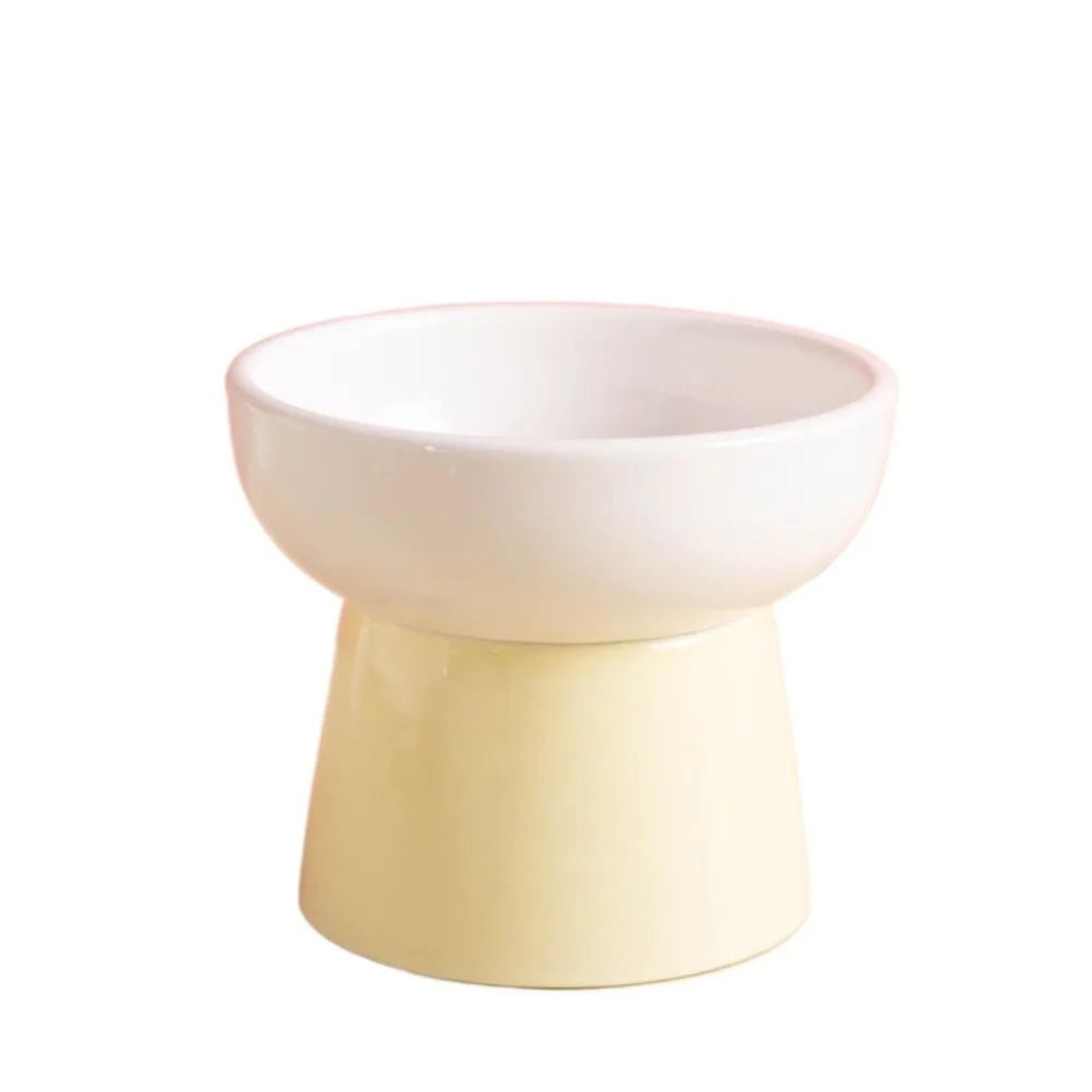 Elevated Ceramic Pet Bowl With Raised Stand For Cats And Small Dogs 11