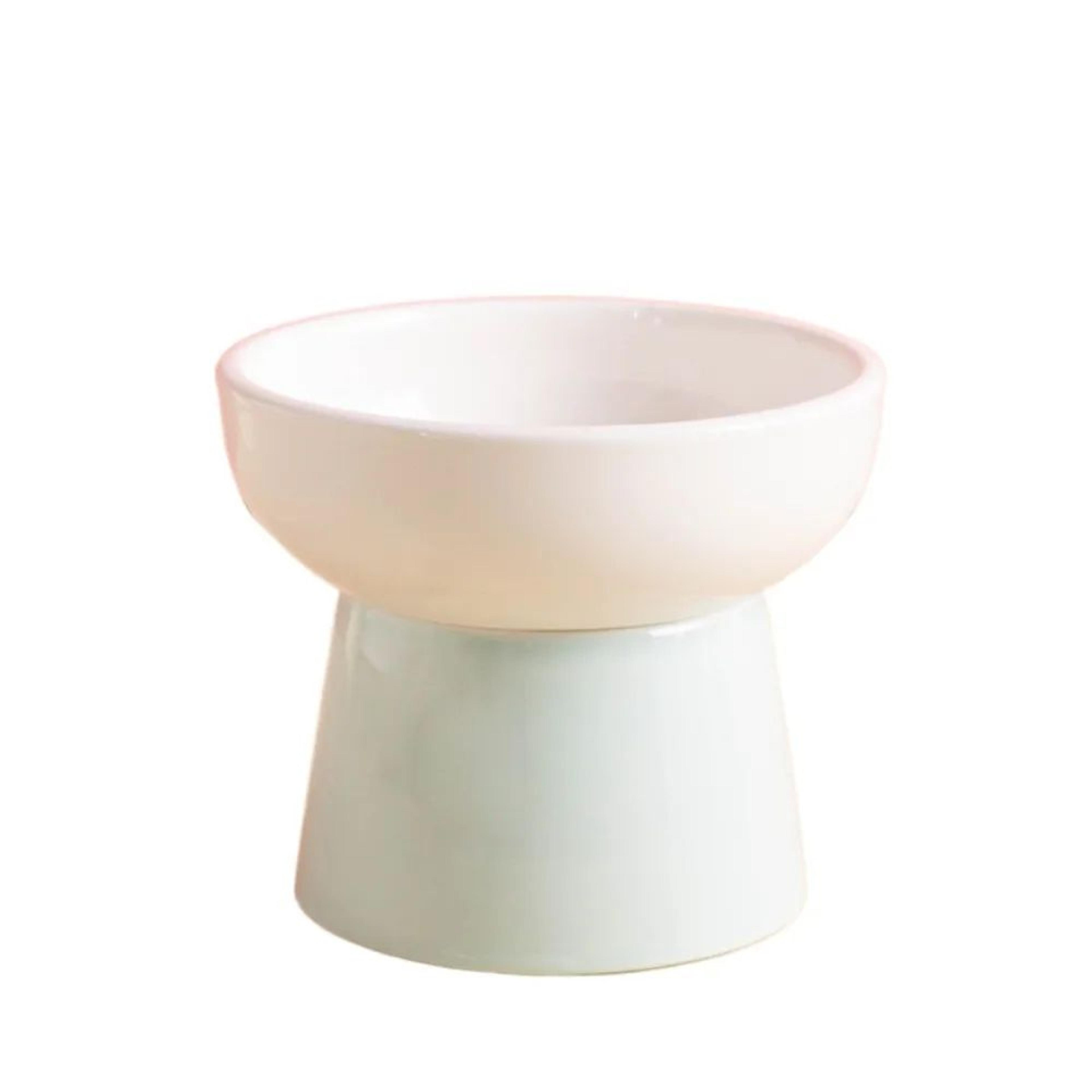 Elevated Ceramic Pet Bowl With Raised Stand For Cats And Small Dogs 12