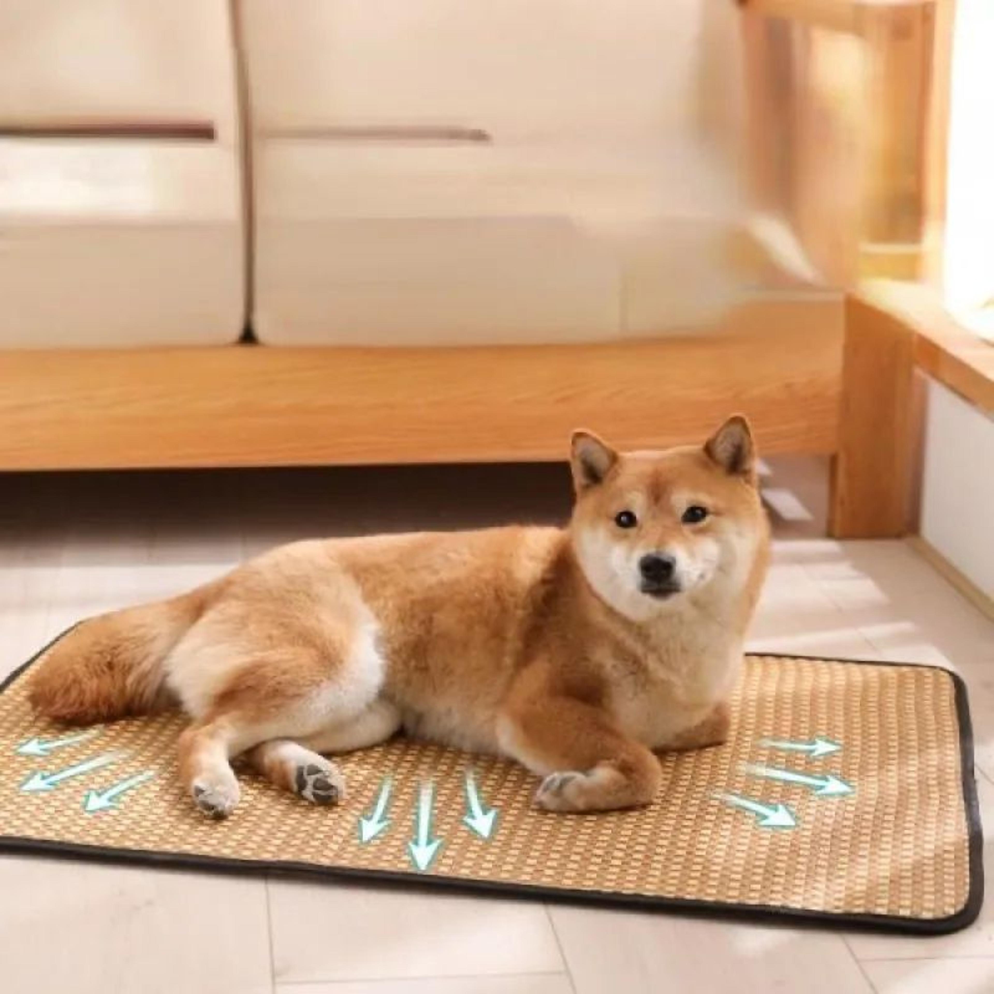 Cooling Pet Mat Bed For Dogs And Cats 3